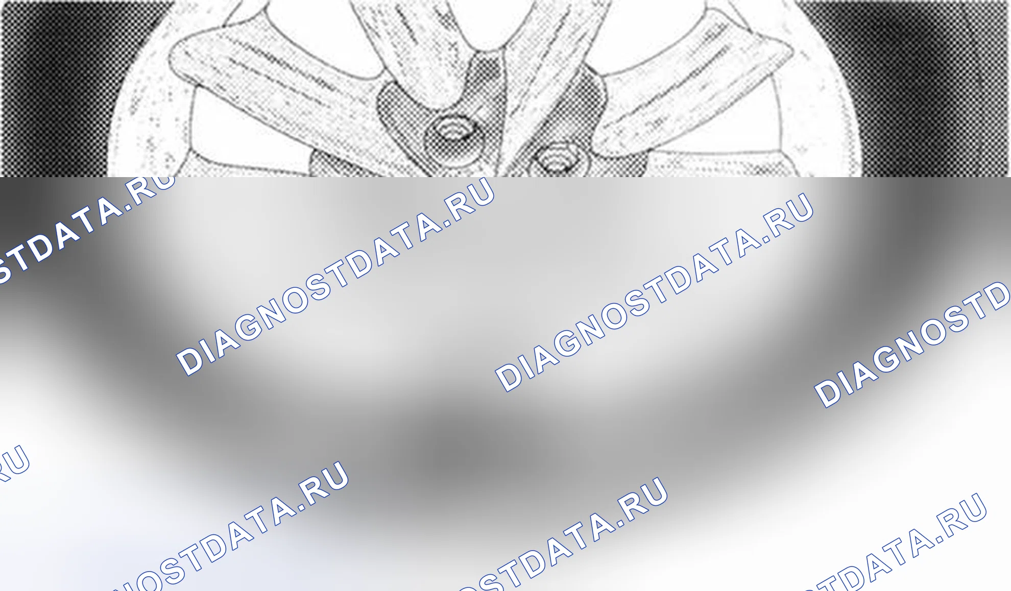 Рис. 1. Hyundai IONIQ 5 I