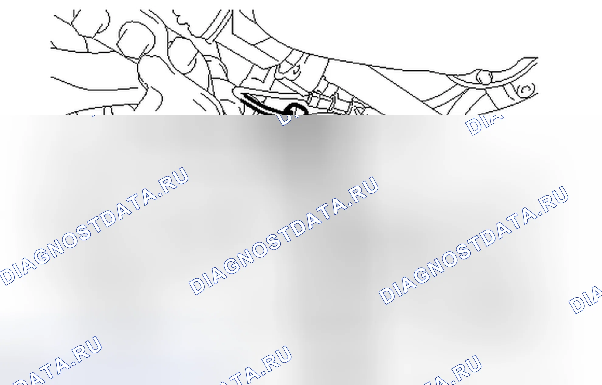 Рис. 196. Honda Accord V