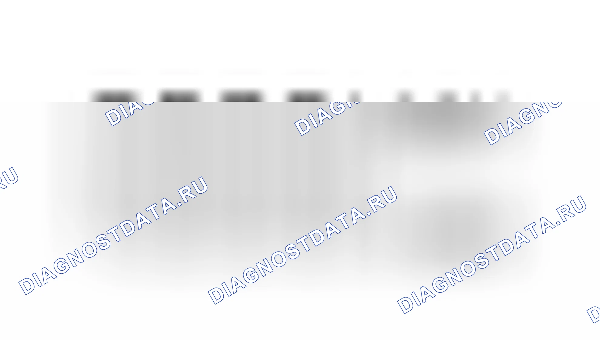 Рис. 38. Kia Spectra I рестайлинг 2