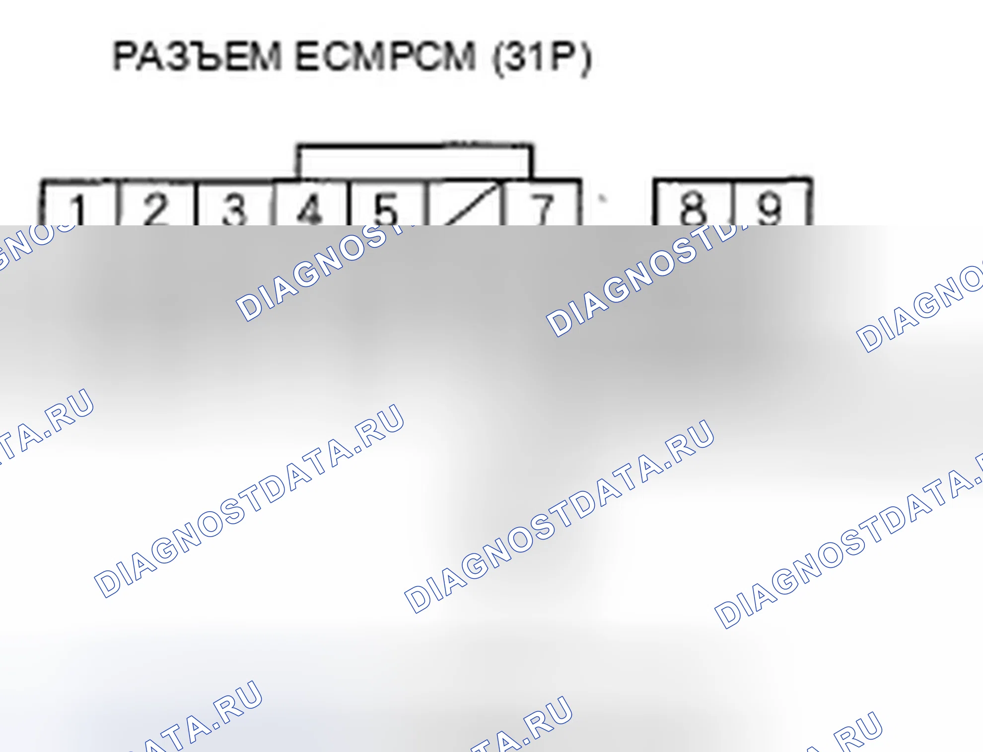 Рис. 15. Honda Element YH2 рестайлинг 2