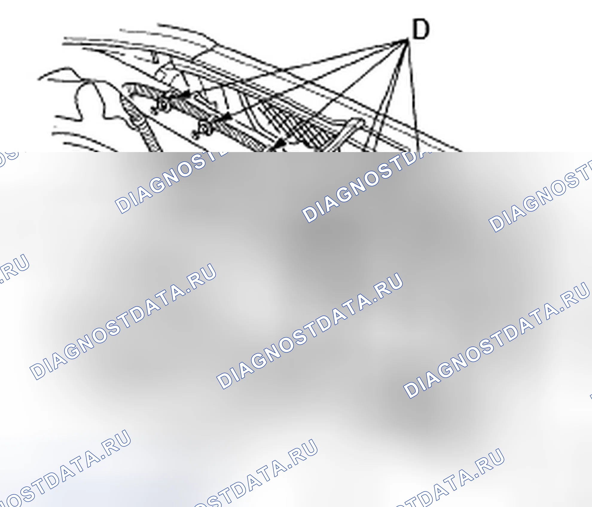Рис. 8. Honda Element YH2 рестайлинг