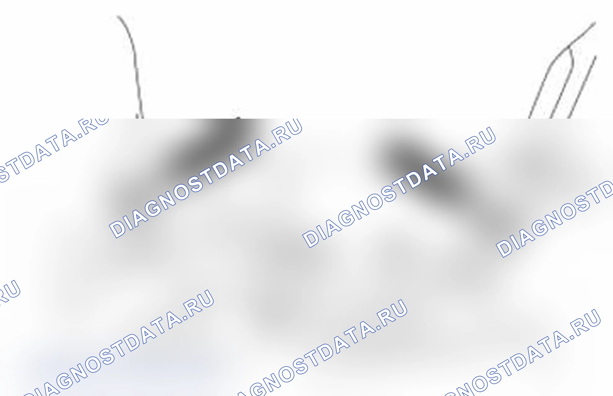 Рис. 272. Ford Transit Connect I рестайлинг