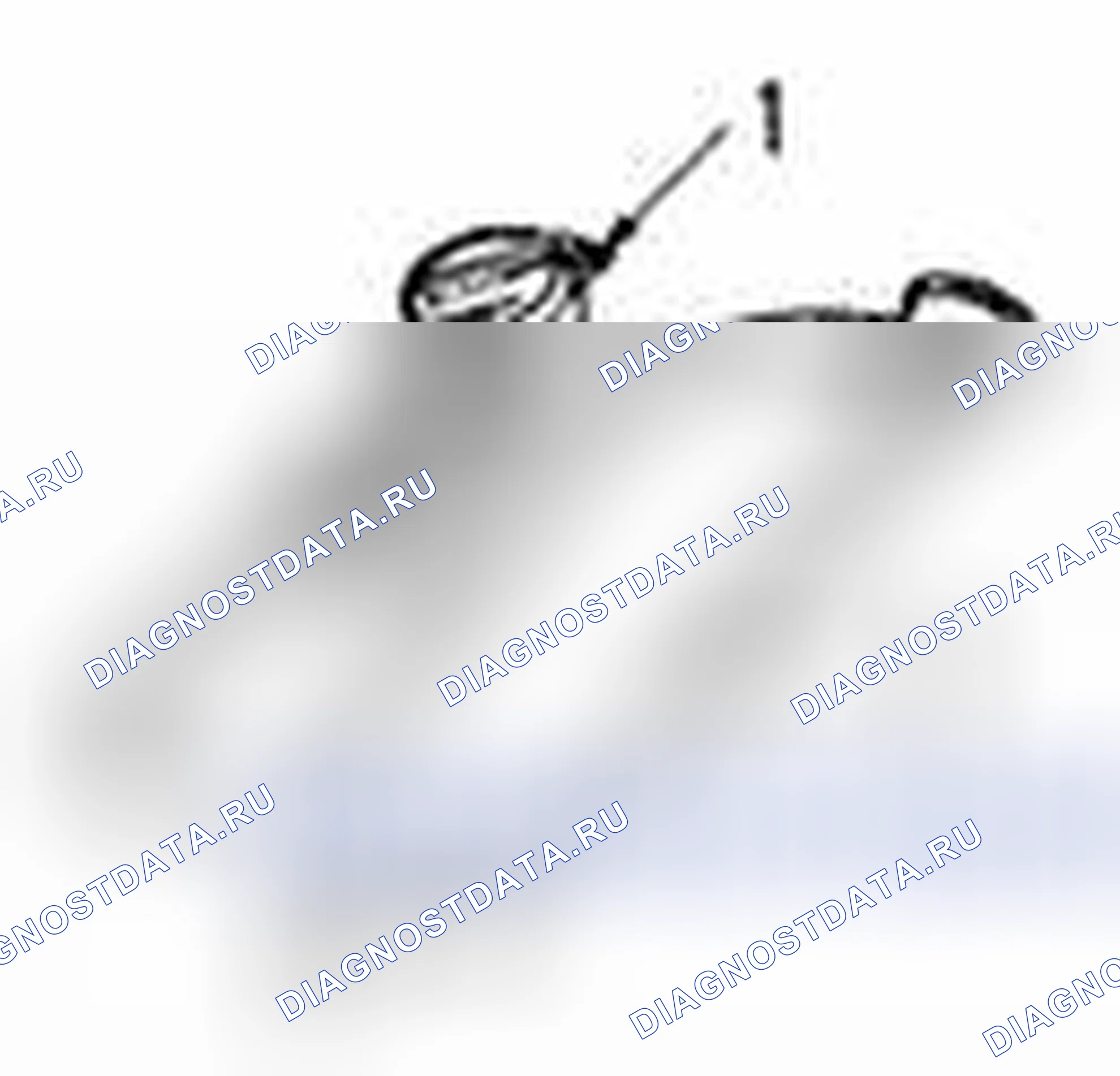 Рис. 12. Suzuki Equator I