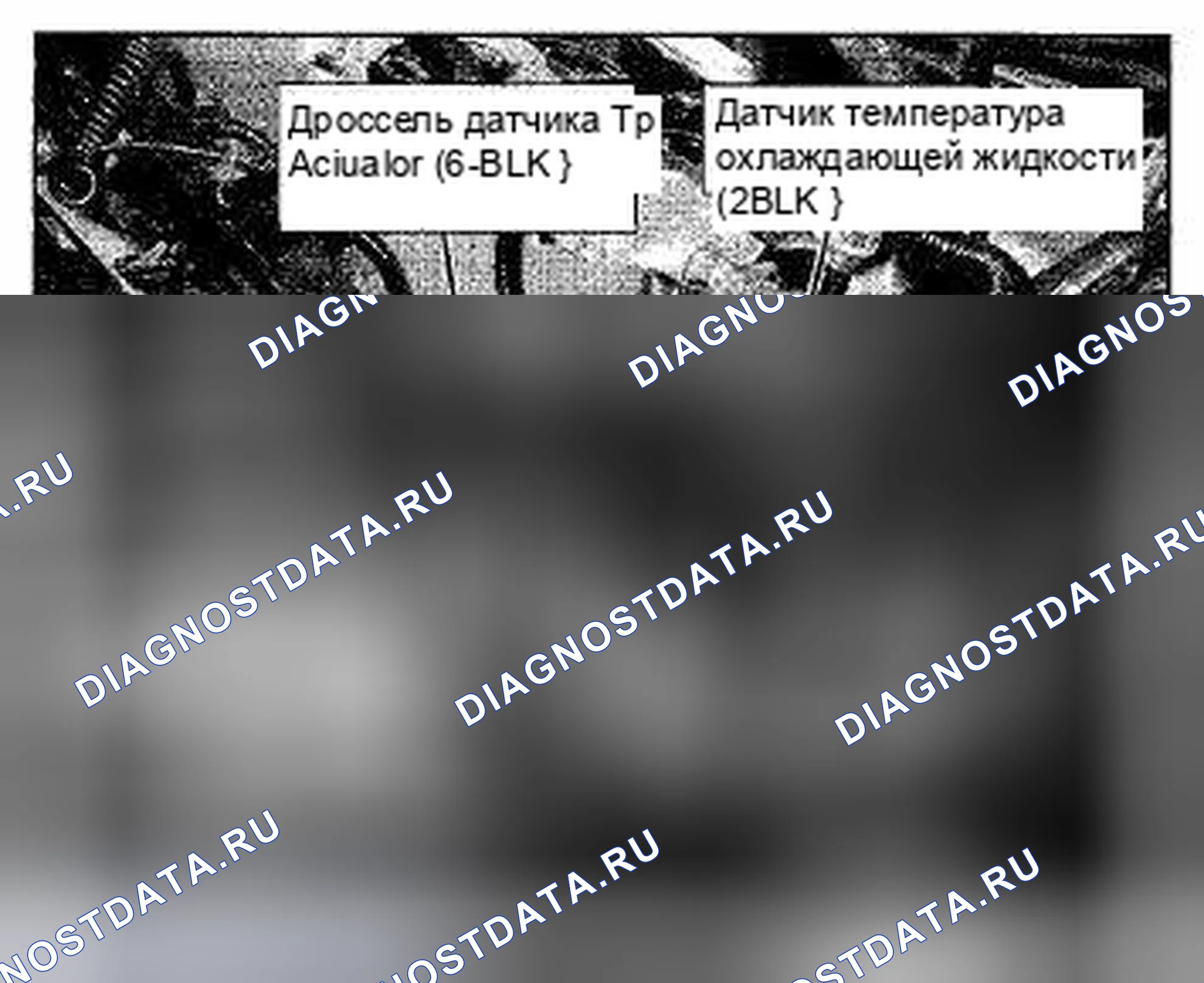 Рис. 397: Расположение компонентов с левой стороны двигателя (аналогичный для Латинской Америки) (фото 22). Honda CR-V III рестайлинг