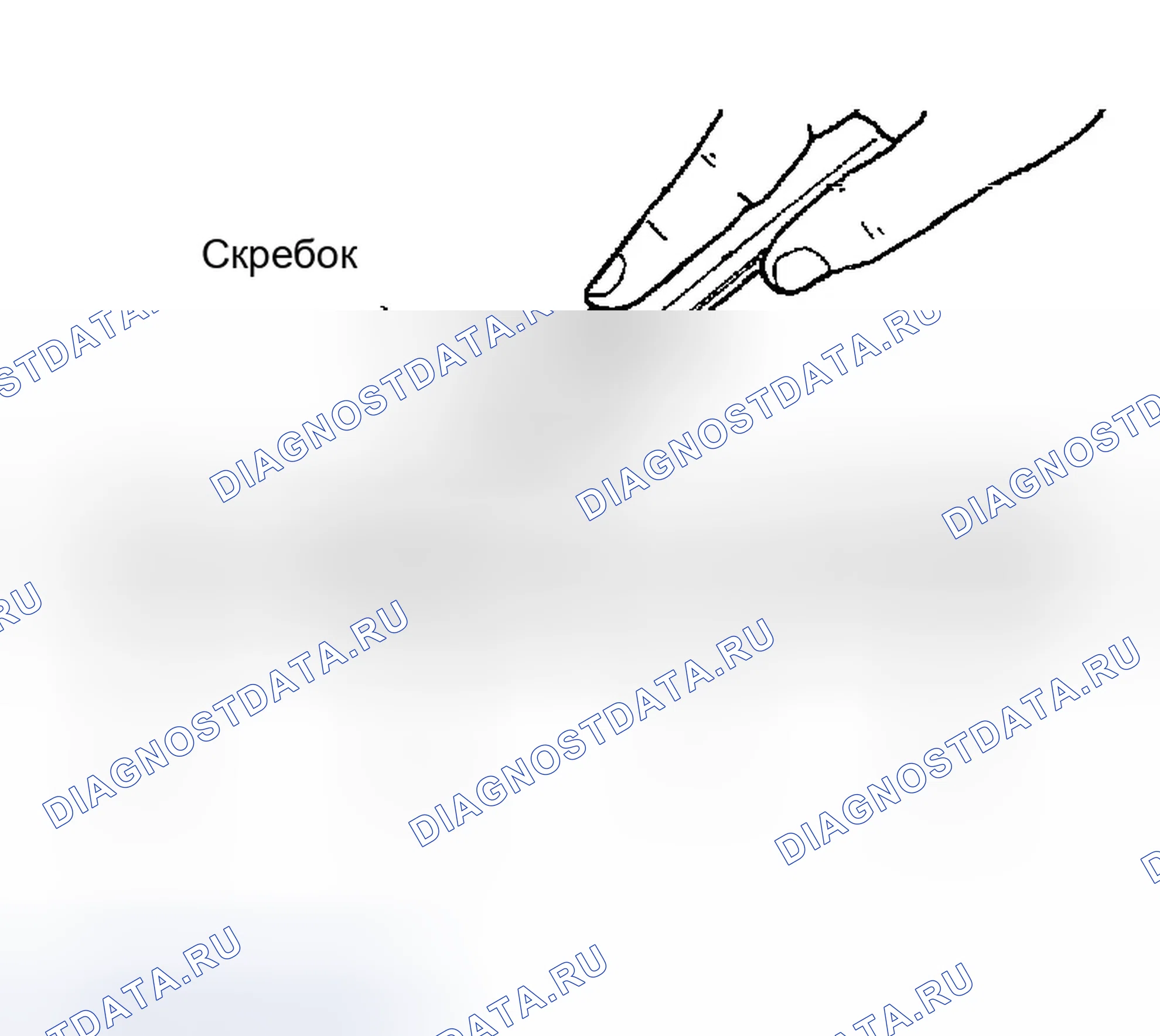 Рис. 2: Процедура применения жидкостной прокладки. Infiniti FX35 I