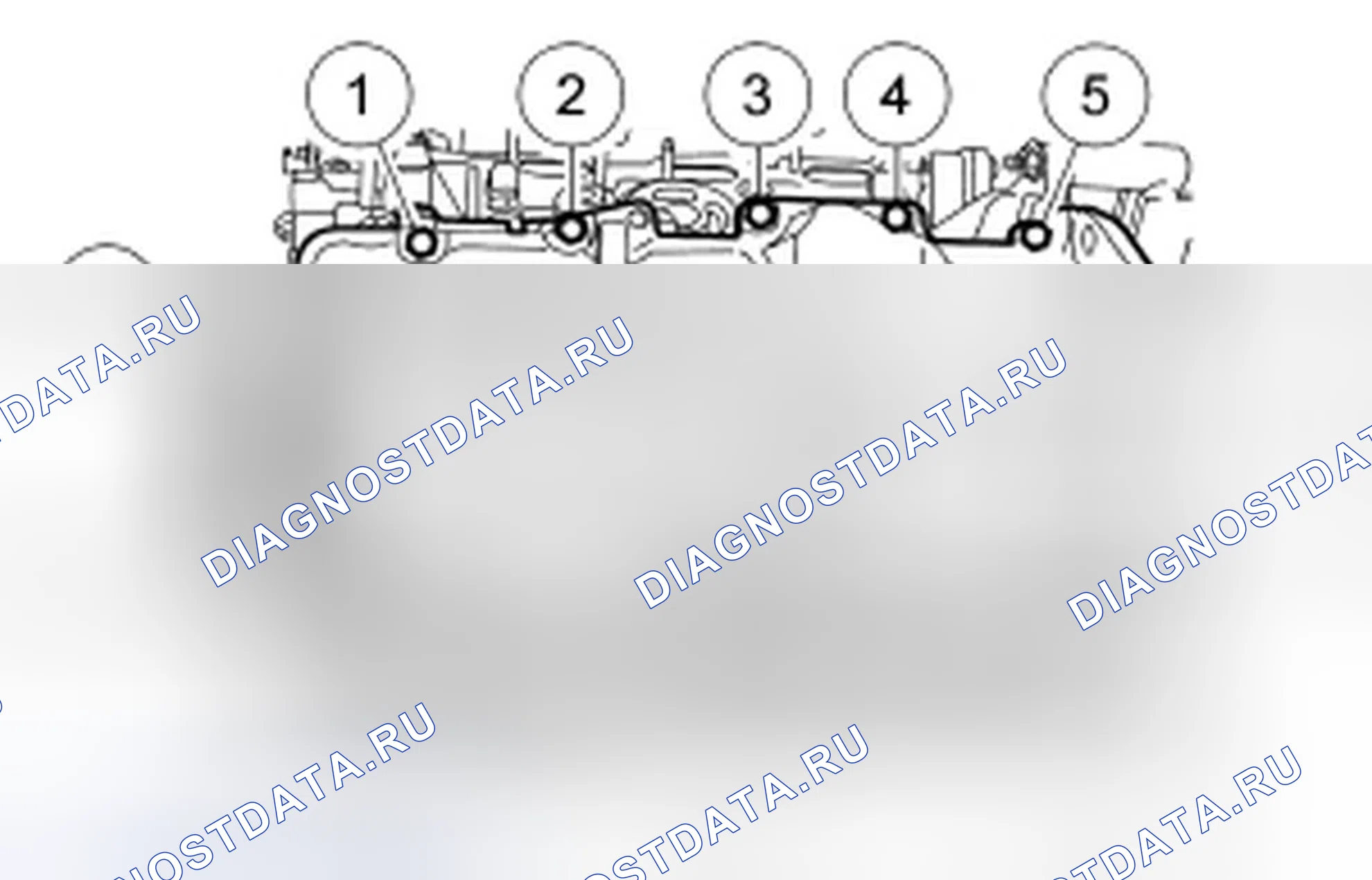 Рис. 314. Ford Freestyle I