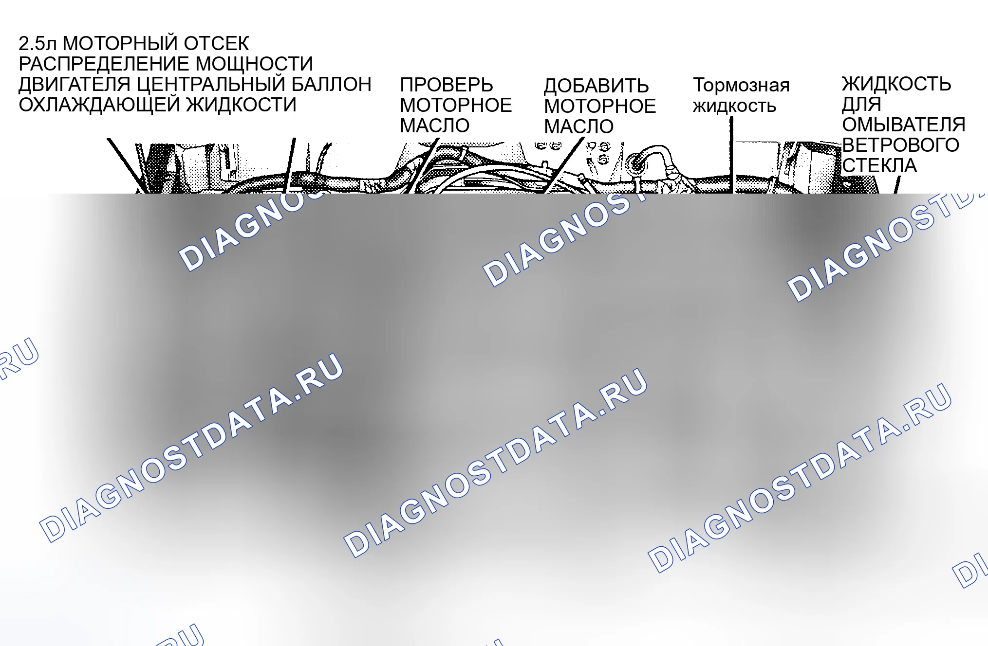 Рис. 4. Jeep Cherokee II рестайлинг