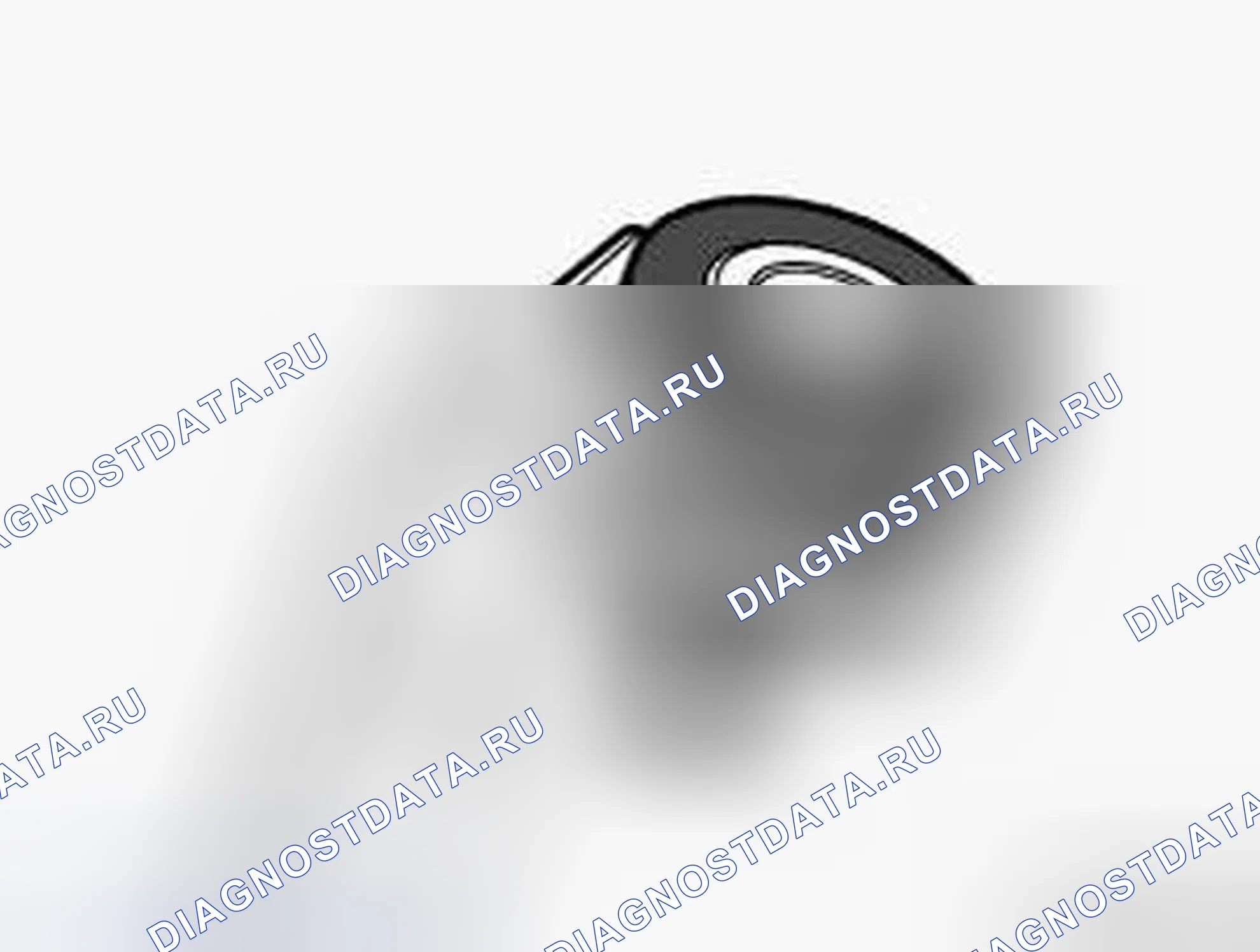 Рис. 58. BMW M6 E63/E64
