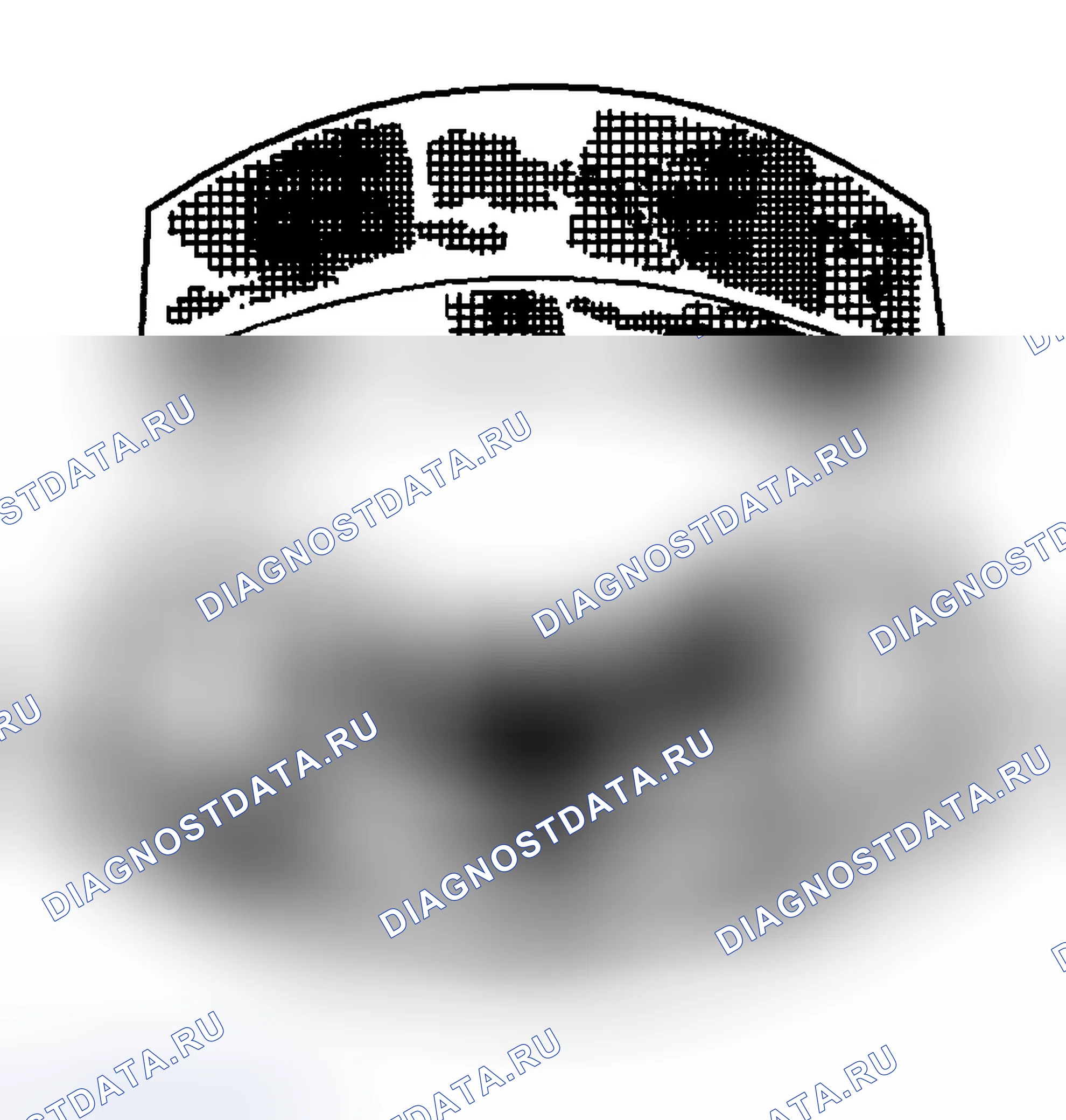 Рис. 42: Фреттаж. Chevrolet Silverado 1500 HD 