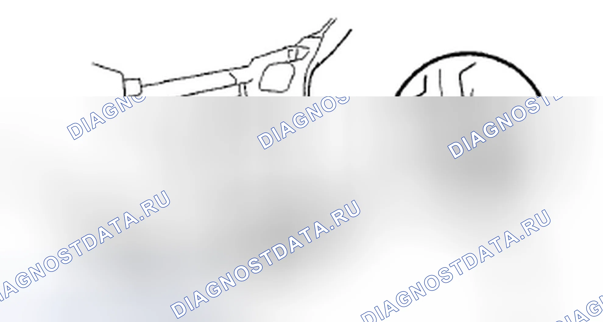 Рис. 48. Honda Crosstour I