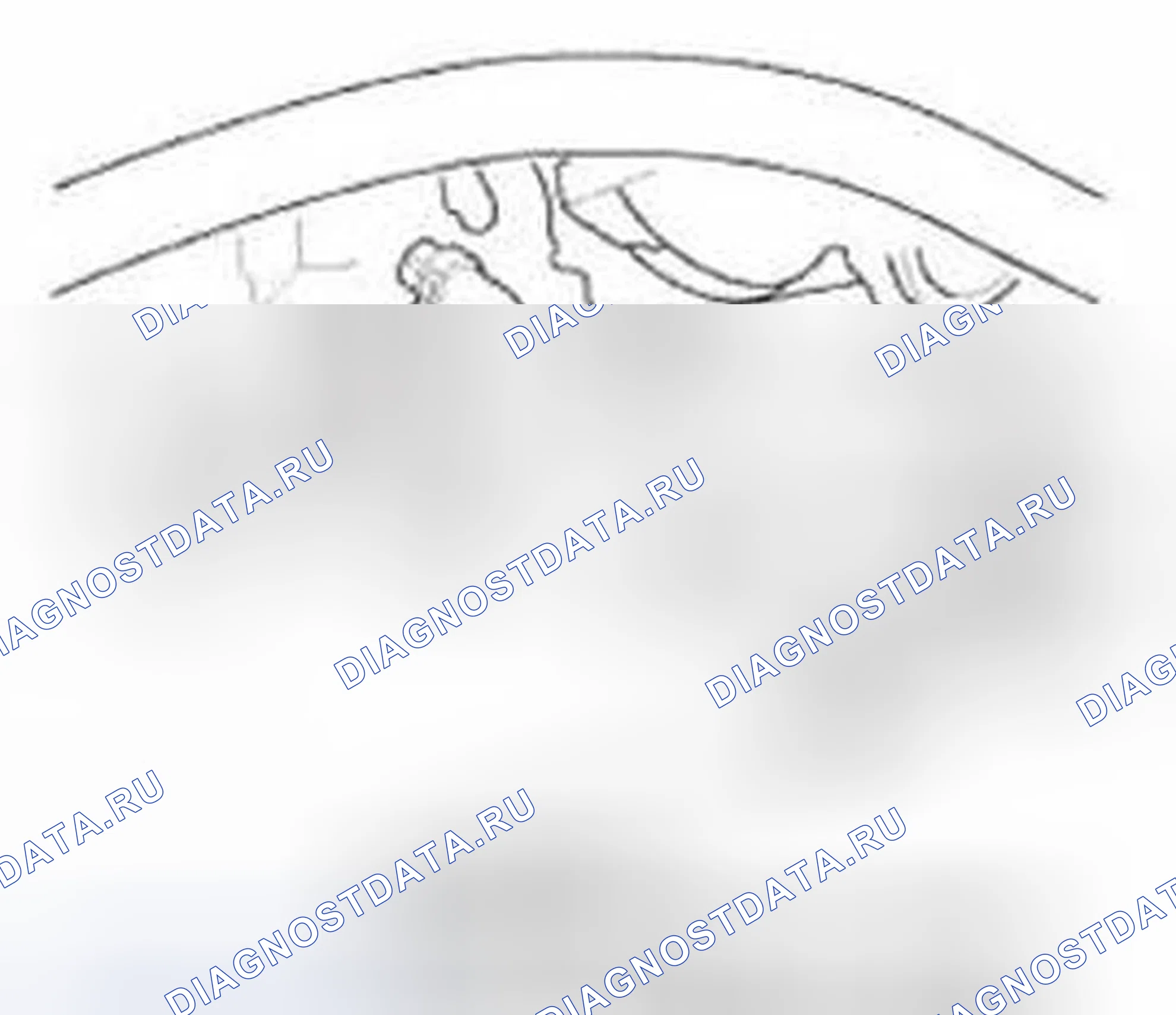 Рис. 989. Honda Civic IX