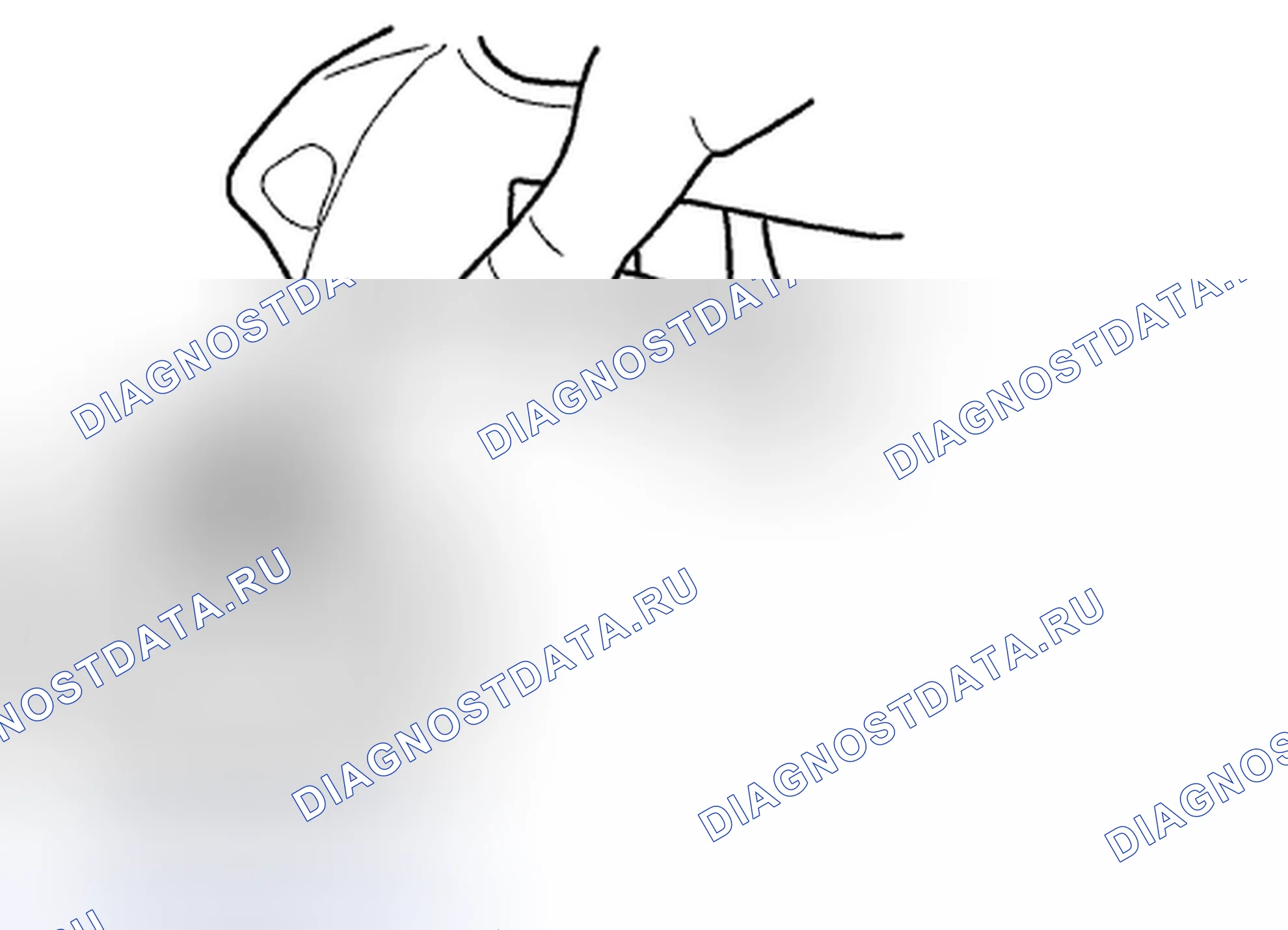 Рис. 324. Subaru Outback BR