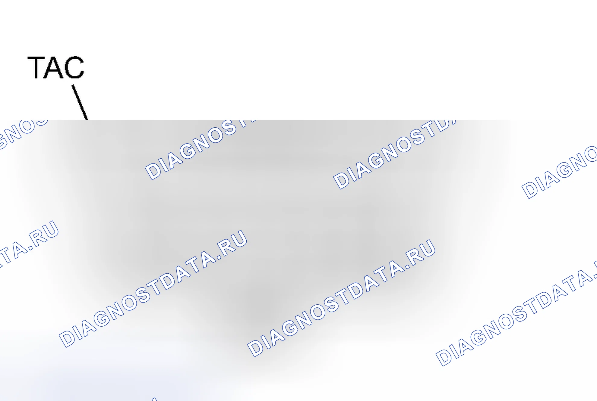 Рис. 4. Toyota Tacoma II