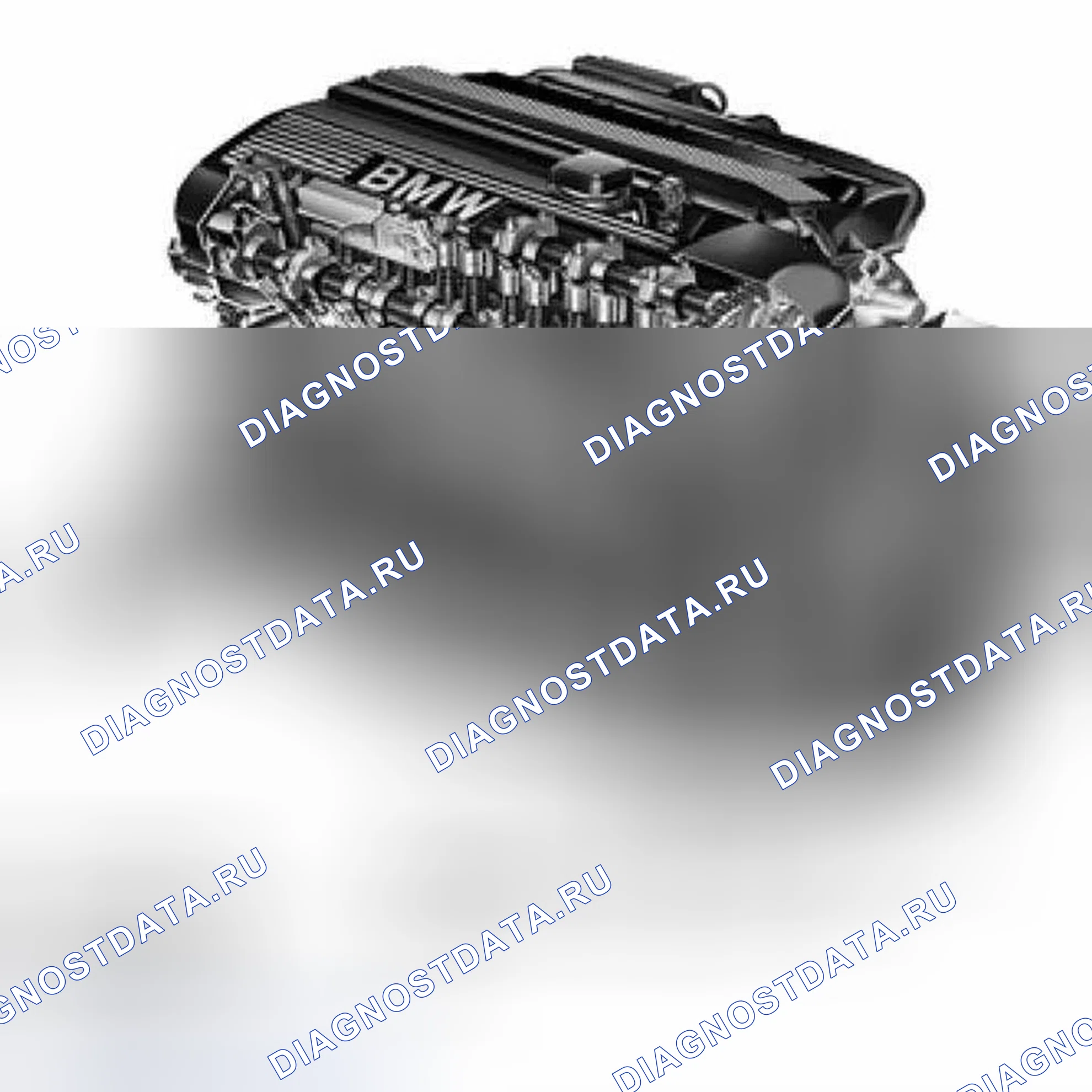 Рис. 224: Идентификация семейства двигателей M54. BMW X5 E53