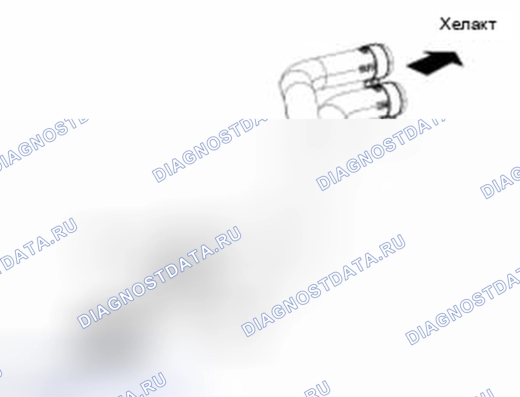 Рис. 242. Haval Beast (Shenshou) I