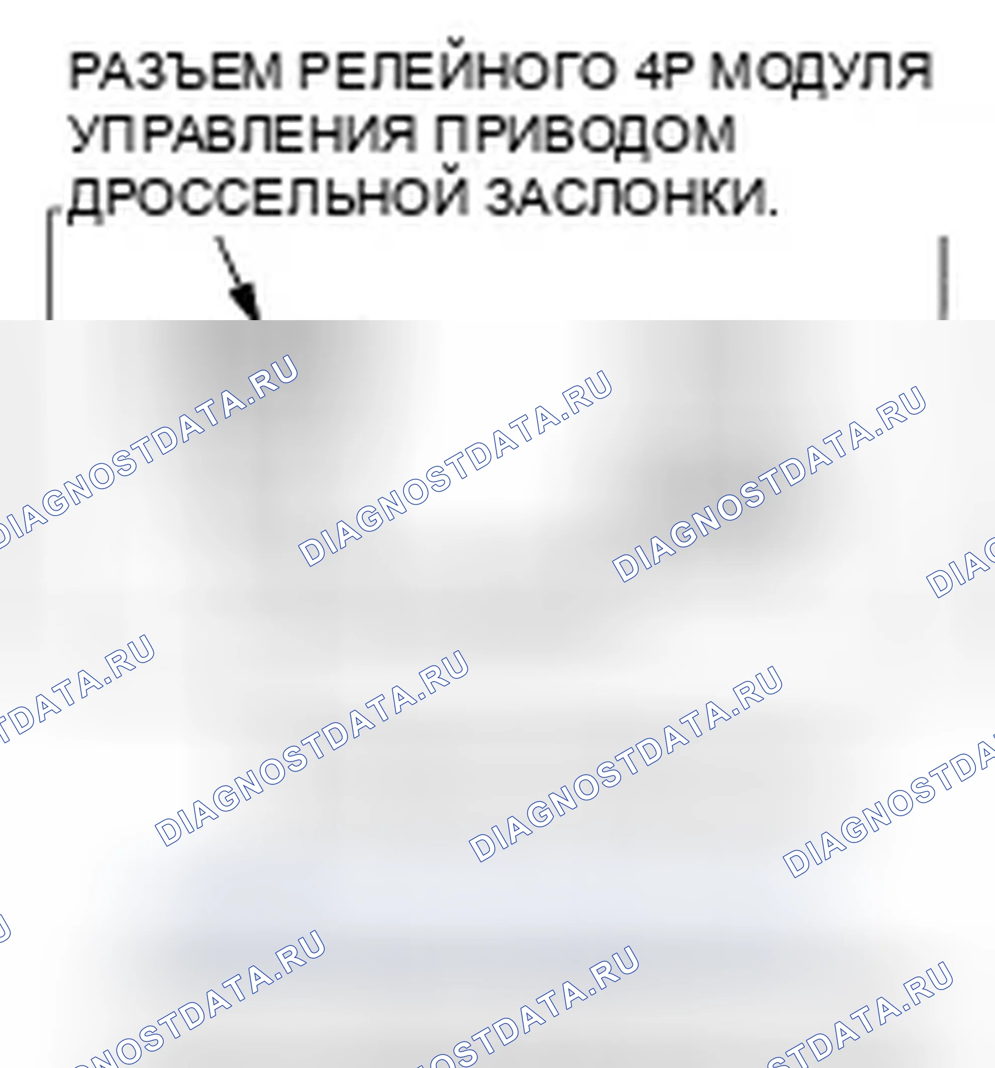 Рис. 343. Honda Element YH2 рестайлинг