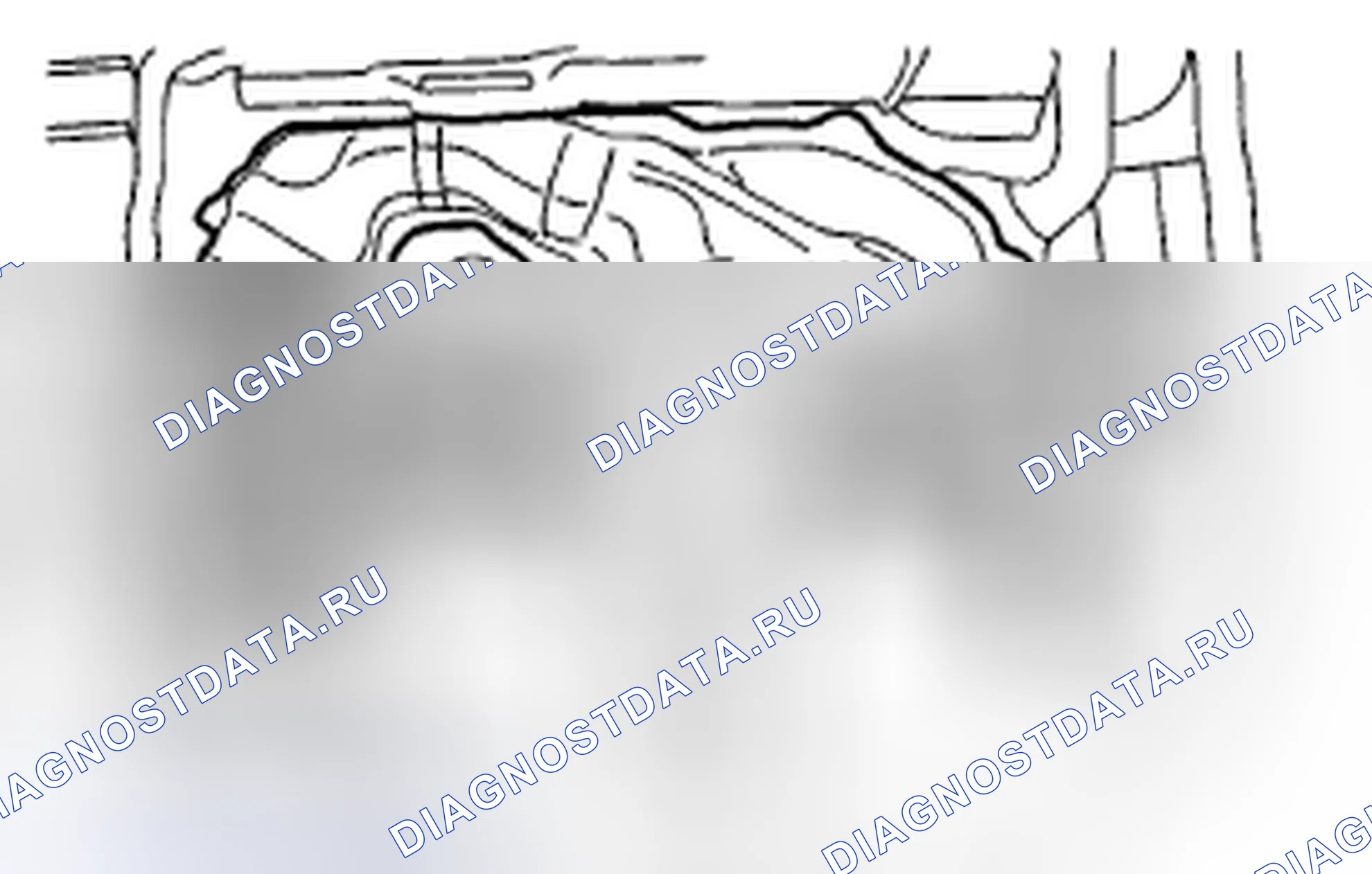 Рис. 11. Honda Vigor I