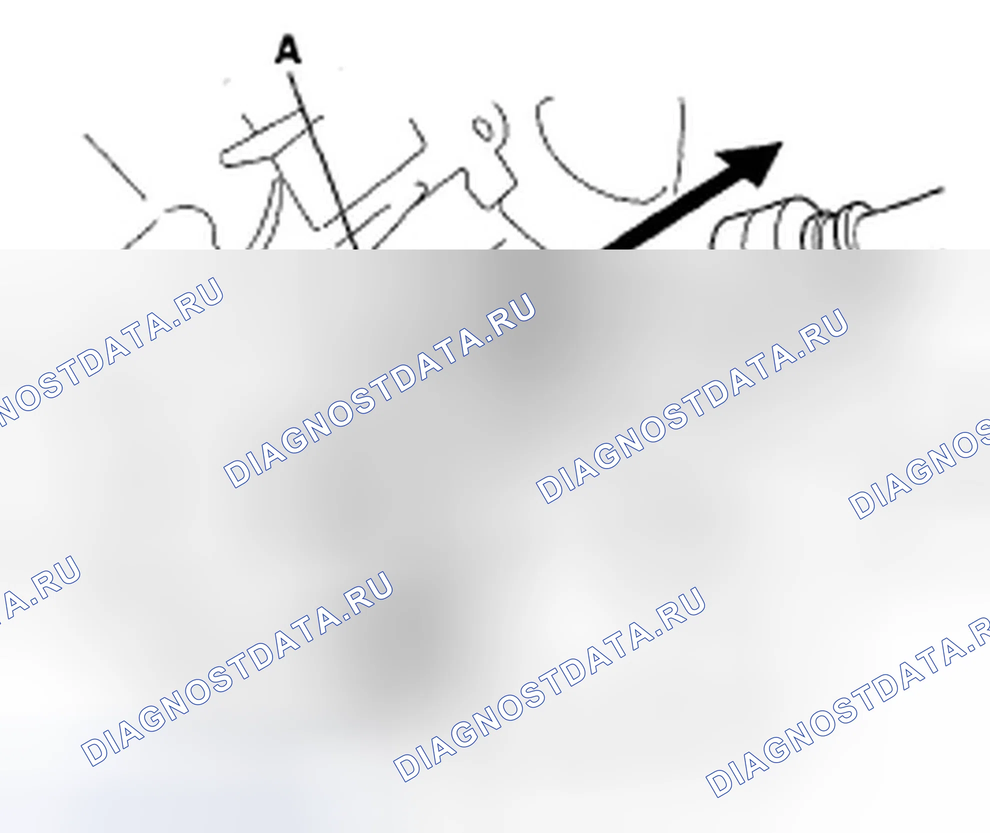Рис. 14. Honda Fit I