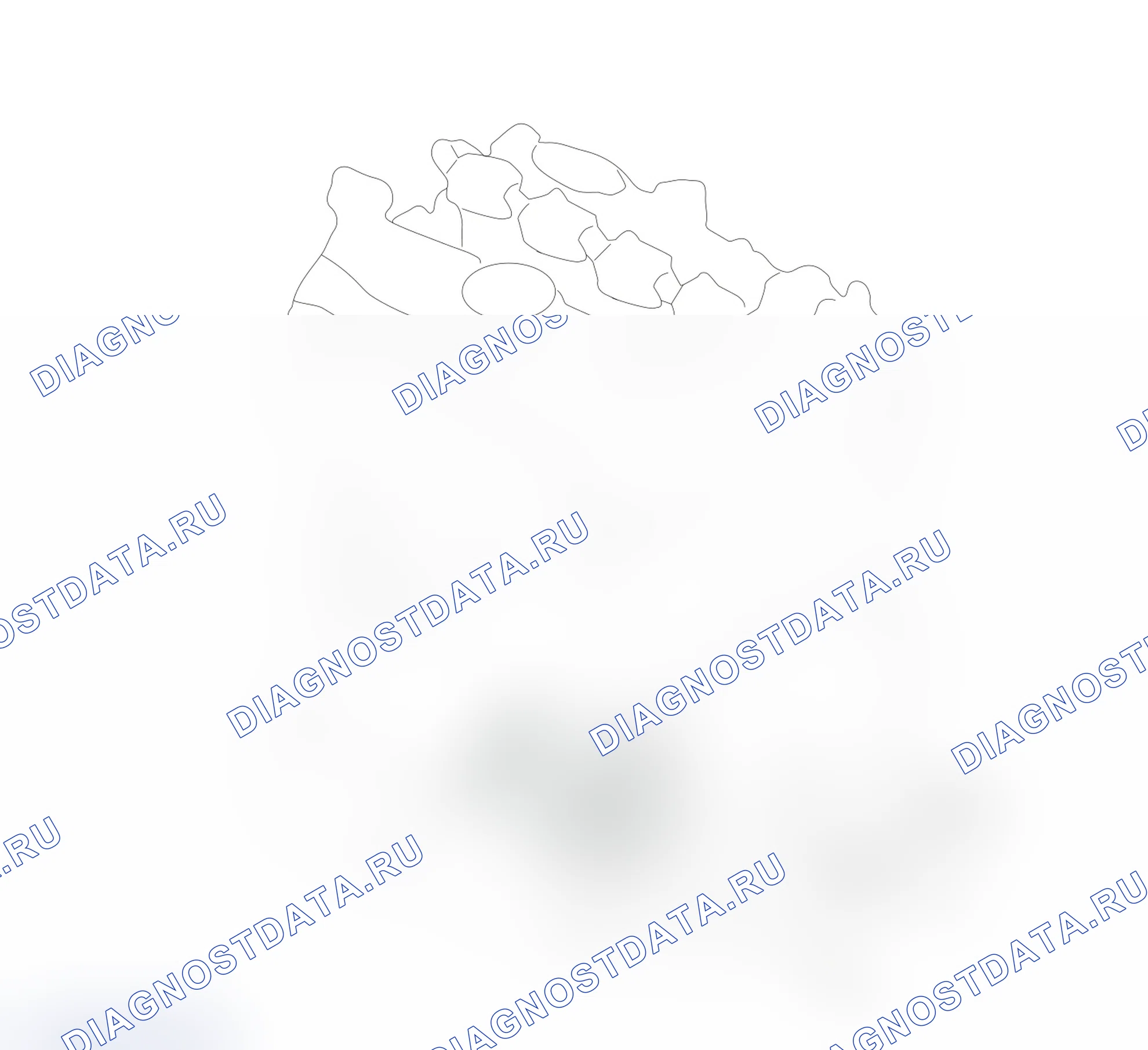 Схема расположения стартера — Haval Shenshou. Haval Shenshou I