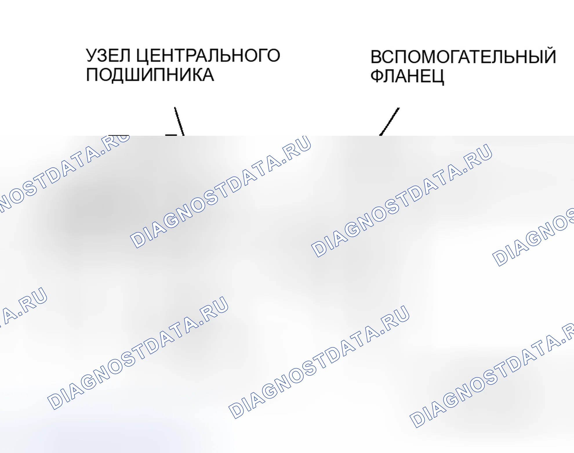 Рис. 19: > > E < < УЗЕЛ ЦЕНТРАЛЬНОГО ПОДШИПНИКА / ЦЕНТРАЛЬНАЯ ВИЛКА / УСТАНОВКА САМОКОНТРЯЩЕЙСЯ ГАЙКИ. Honda e:NS1 I