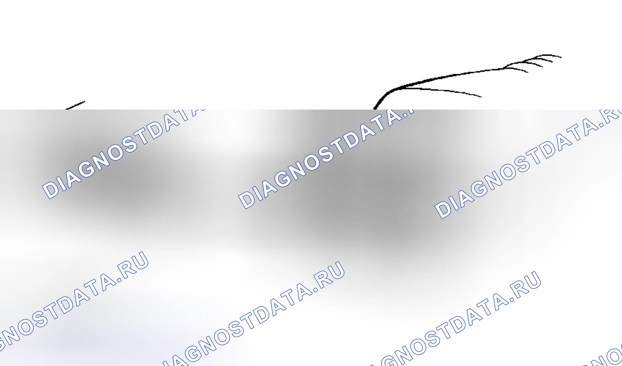 Рис. 53. Haval Xiaolong Max I