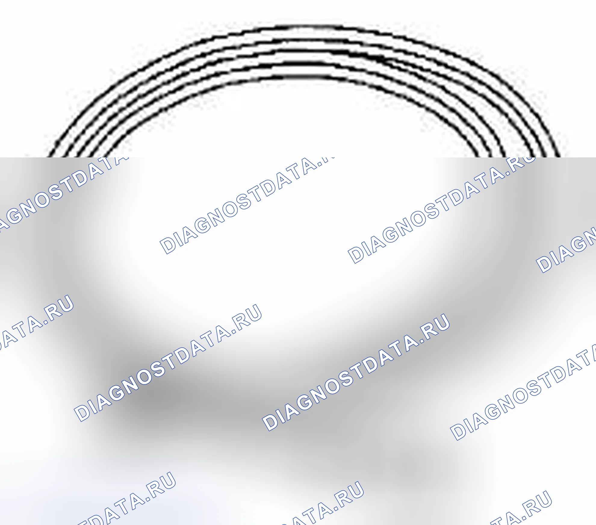 Рис. 48. Suzuki Equator I