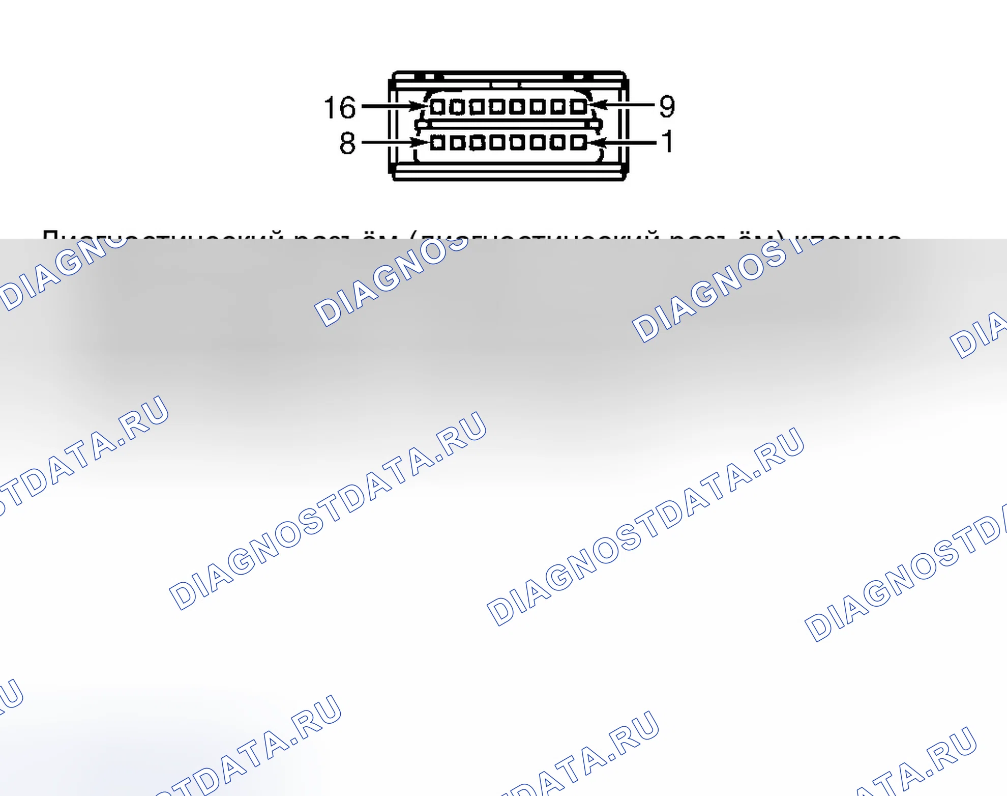 Рис. 85: ВИД С ТОРЦА РАЗЪЕМА КАНАЛА ПЕРЕДАЧИ ДАННЫХ. Dodge Cab & Chassis R3500 
