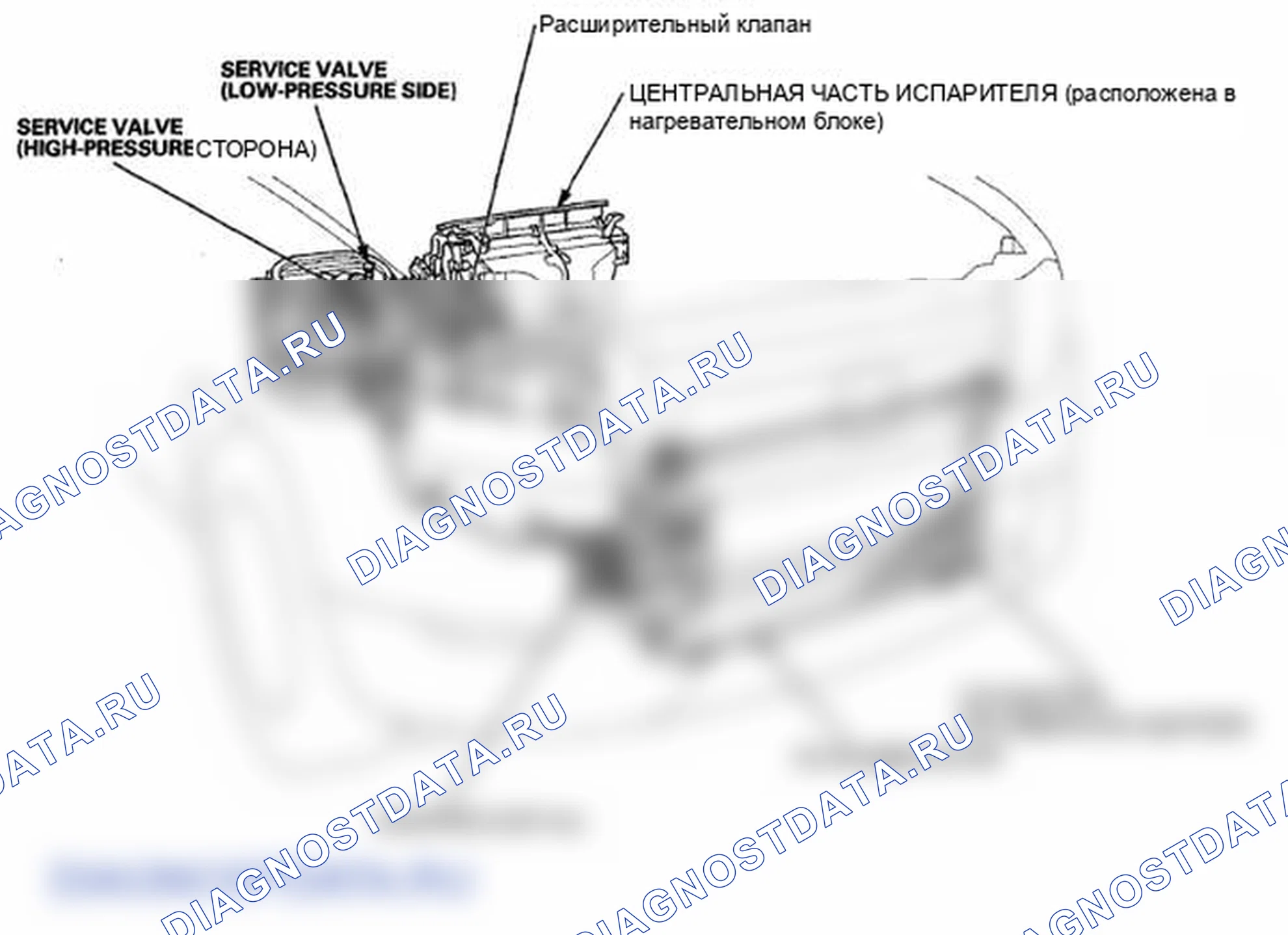 Рис. 3. Honda Element YH2 рестайлинг 2