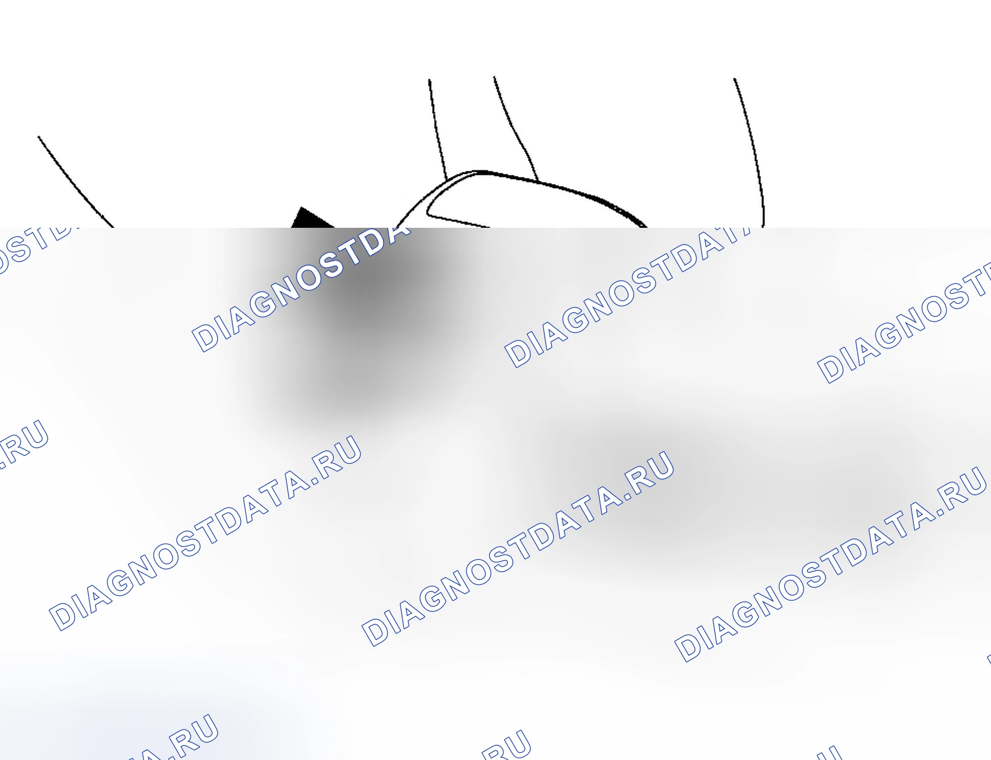 Рис. 12. Ford Focus I