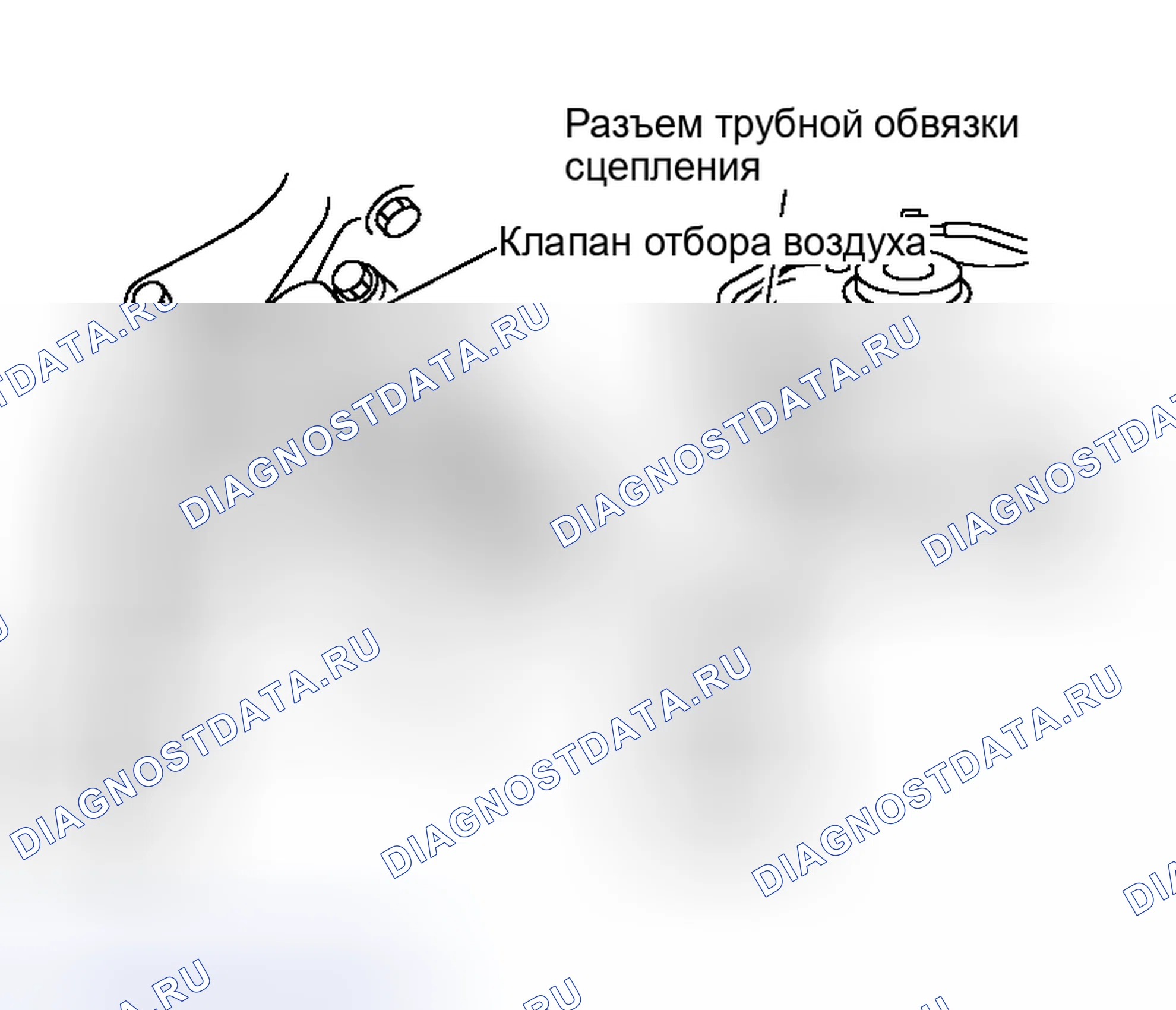 Рис. 6: ПРОЦЕДУРА ВЫПУСКА ВОЗДУХА. Nissan Maxima A33