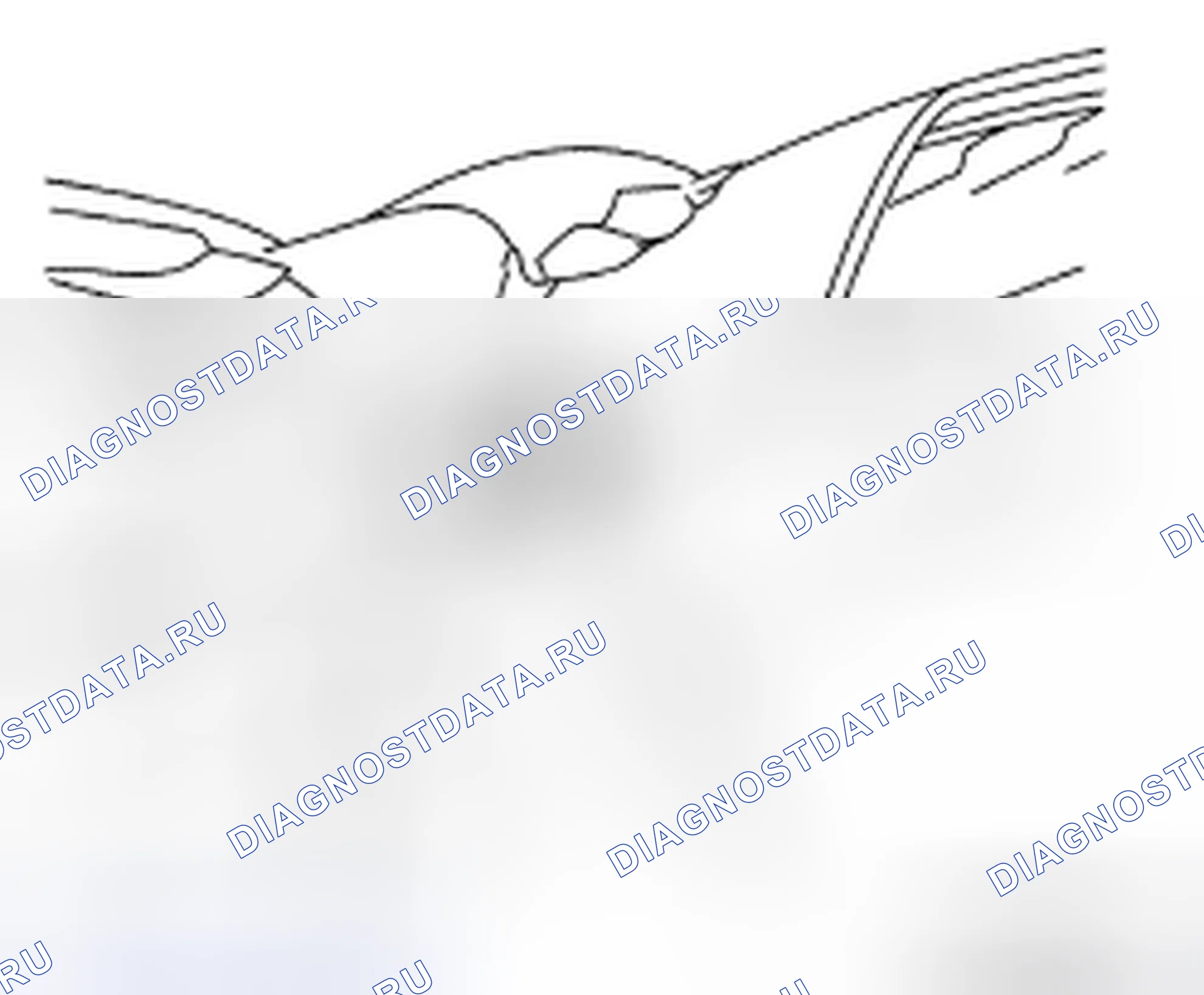 Рис. 448. Nissan Murano Z51 рестайлинг 2