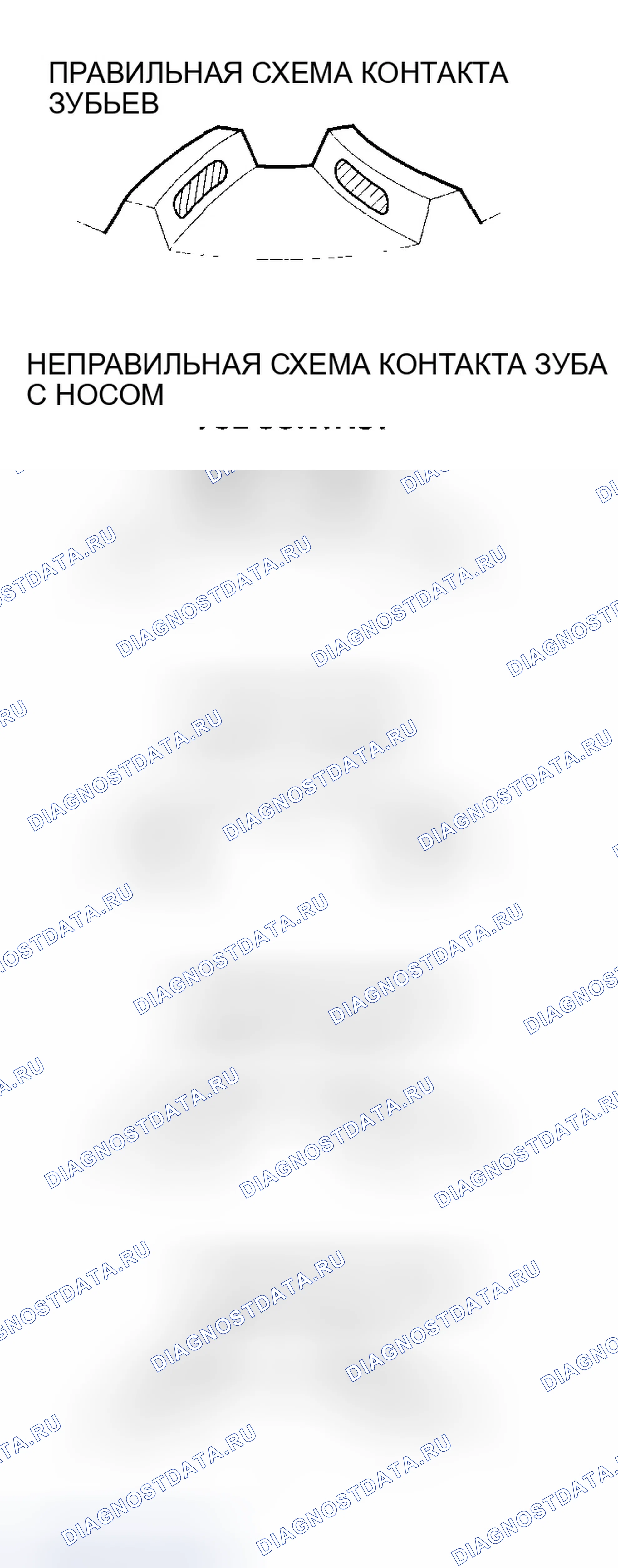 Рис. 360. Honda Element YH2