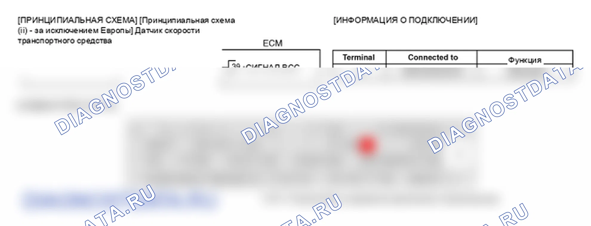 Фрагмент электросхемы: P0501. Kia Sportage KM