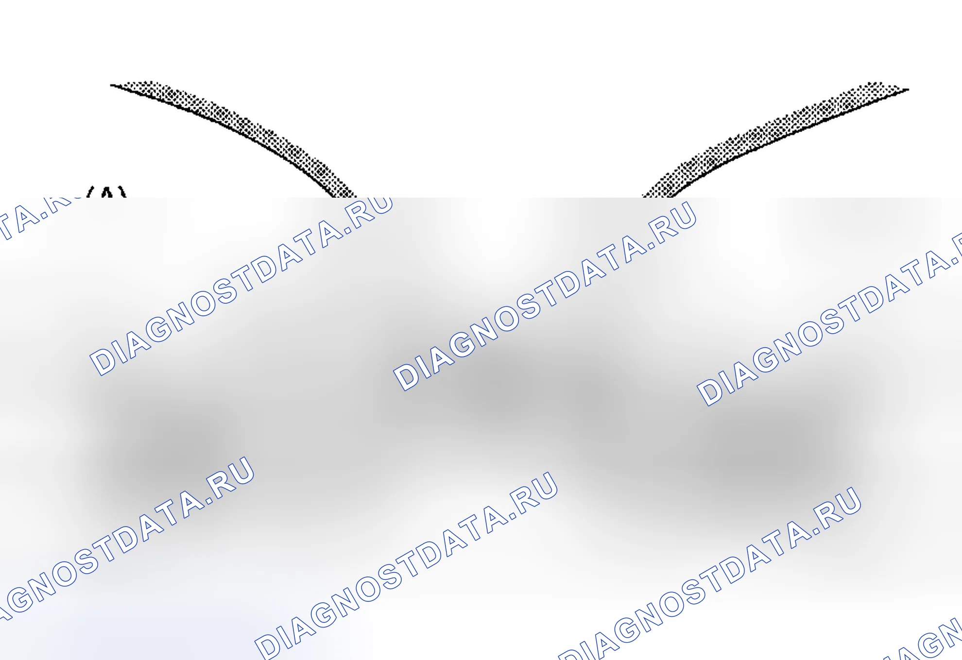 Рис. 231. Subaru Forester SG