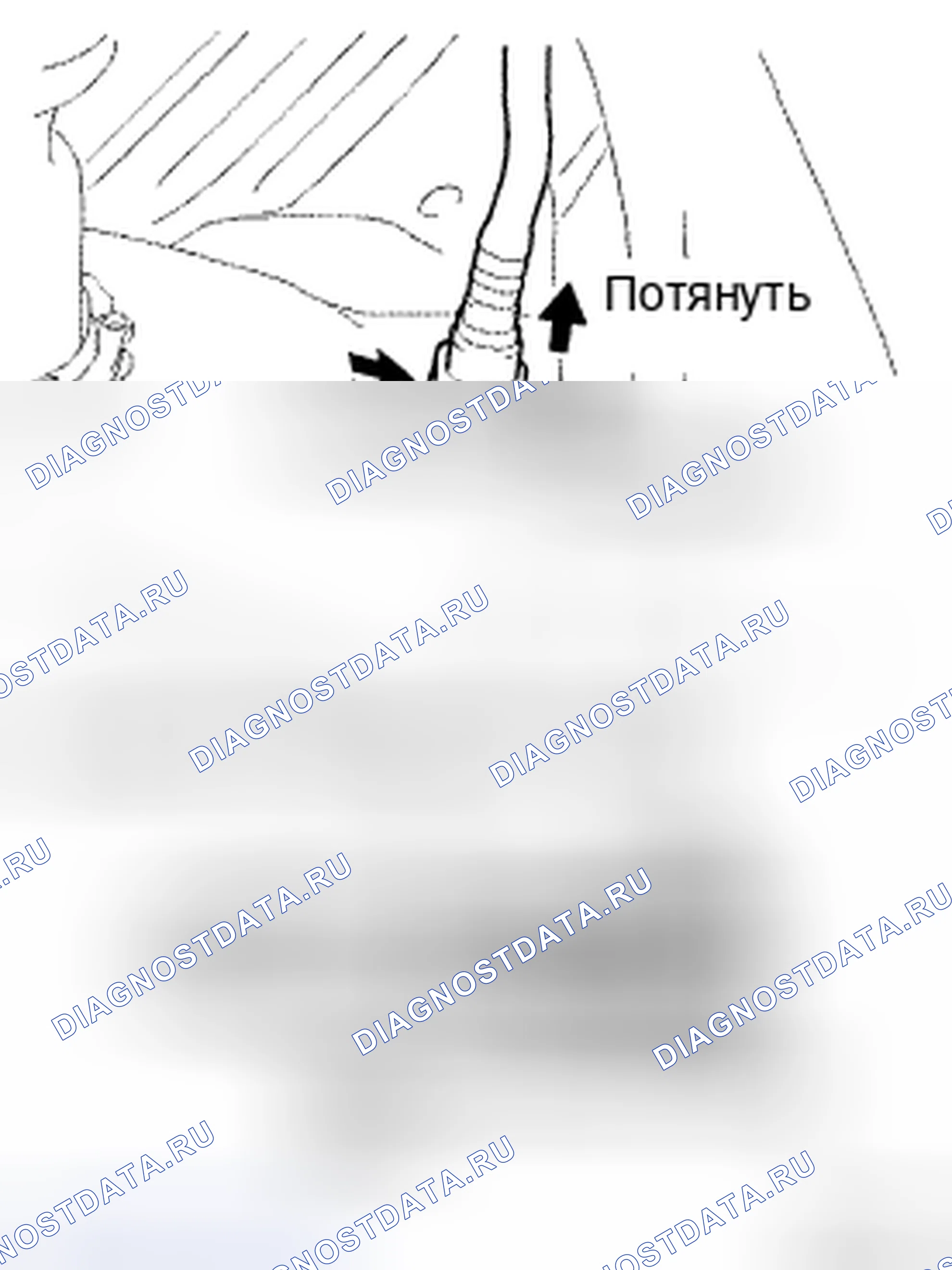 Рис. 259. Toyota Camry XV40