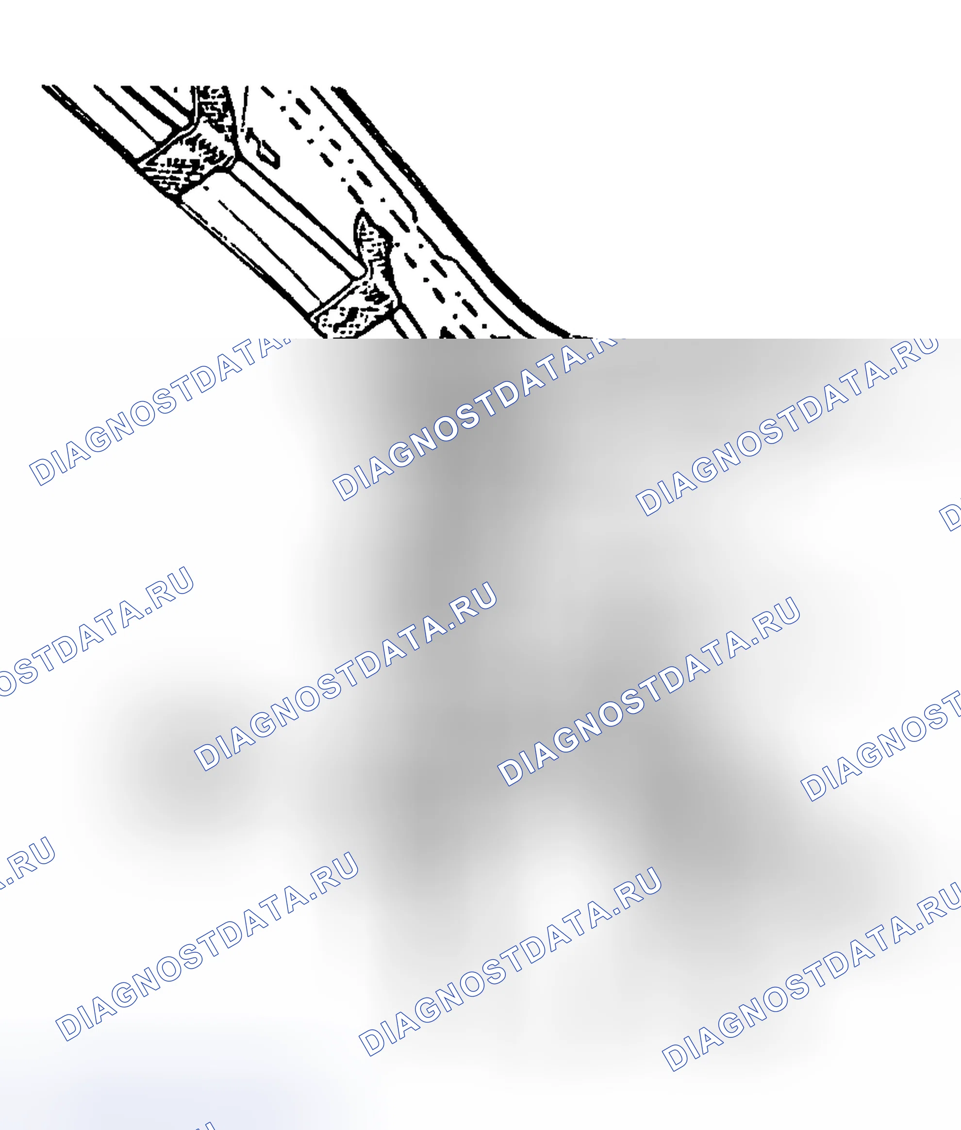 Рис. 5. Volkswagen Passat B3