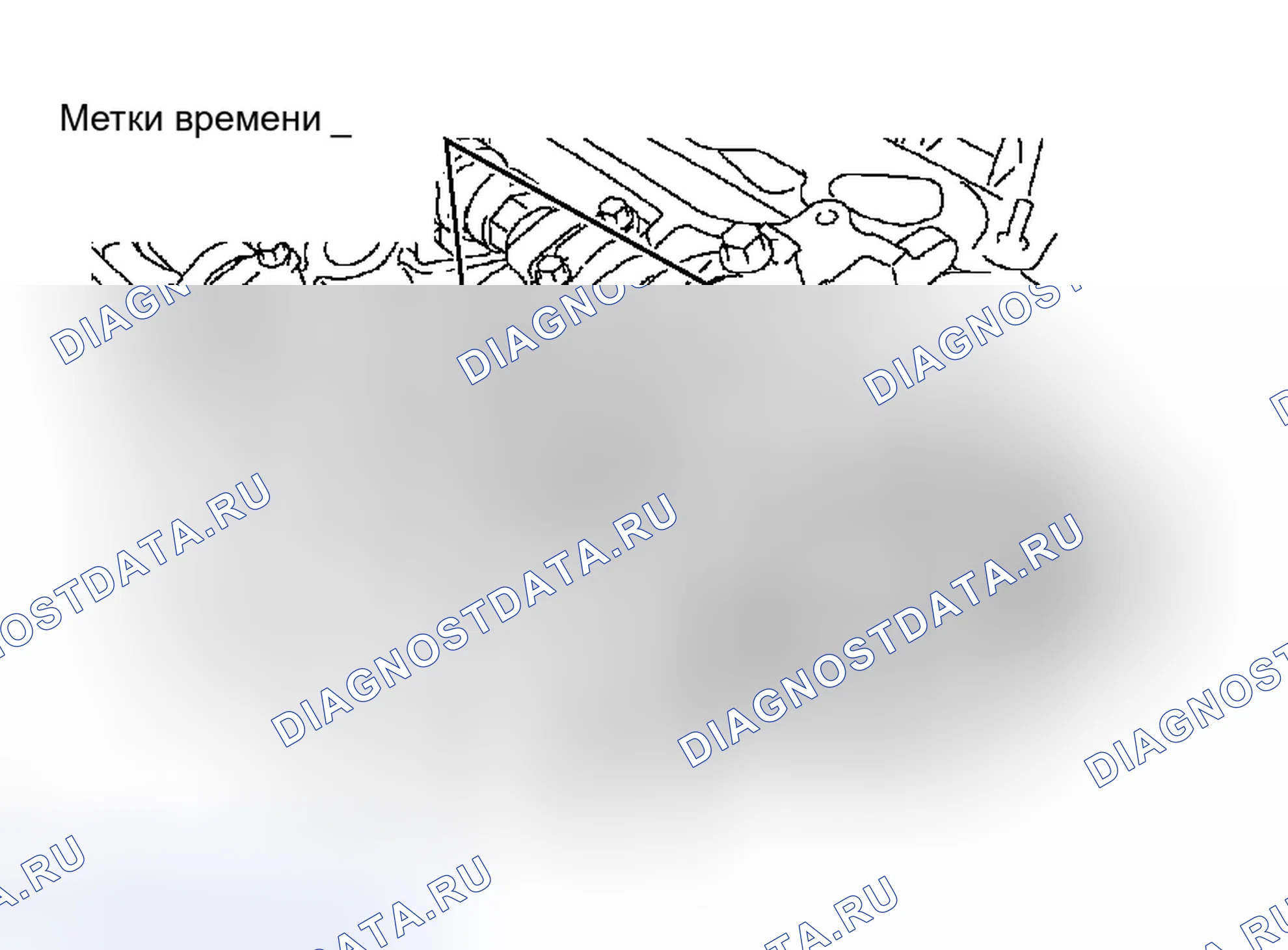 Рис. 1104. Toyota Tacoma II