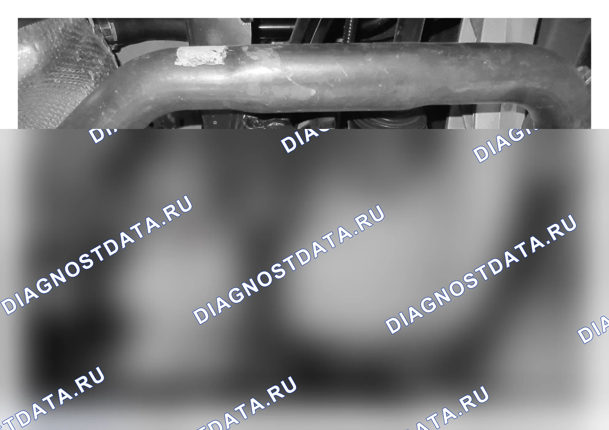 Проверка — Haval Cool-Dog. Haval Cool Dog I