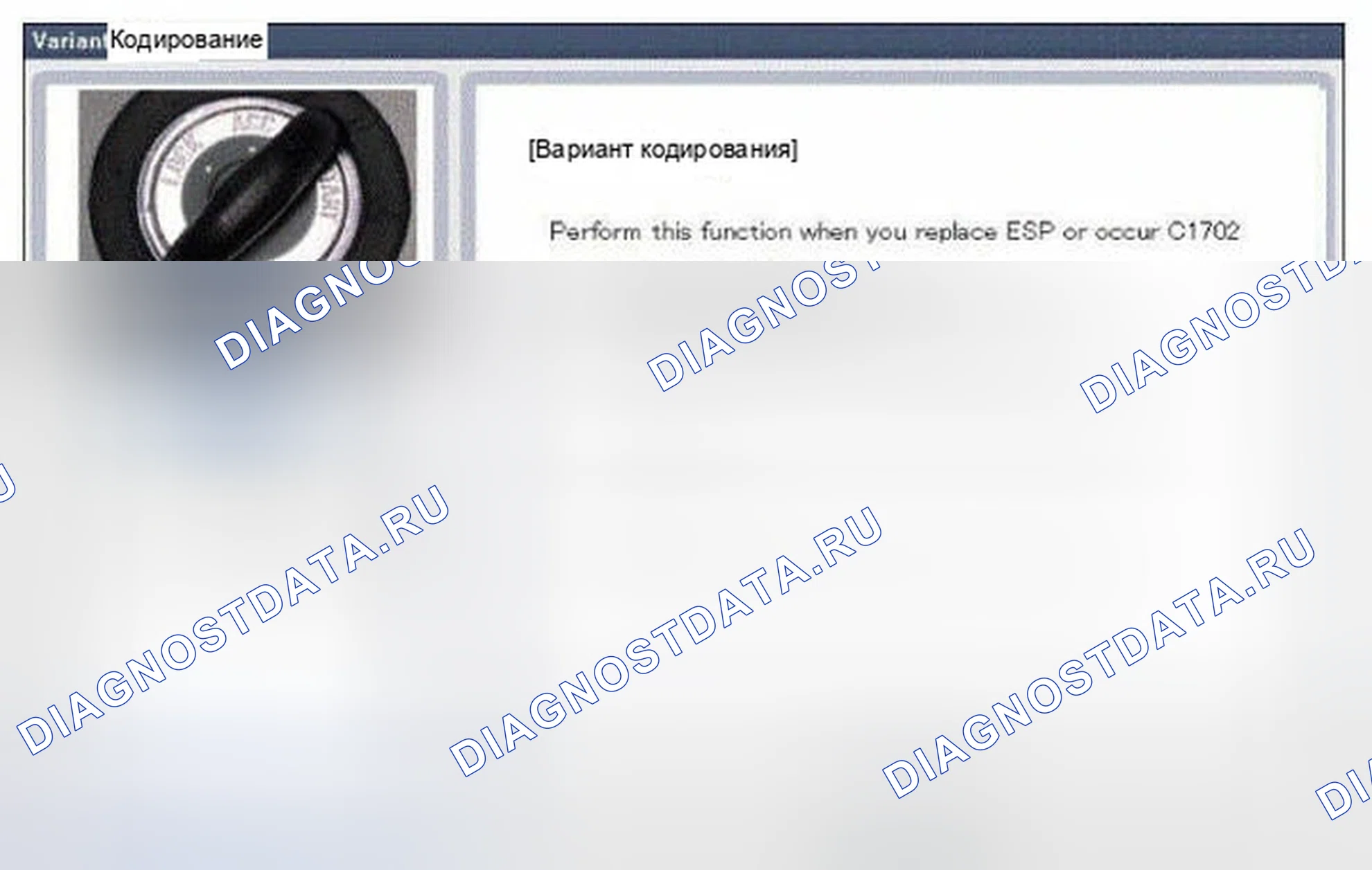 Рис. 155: Вариантное кодирование. Hyundai Genesis I рестайлинг