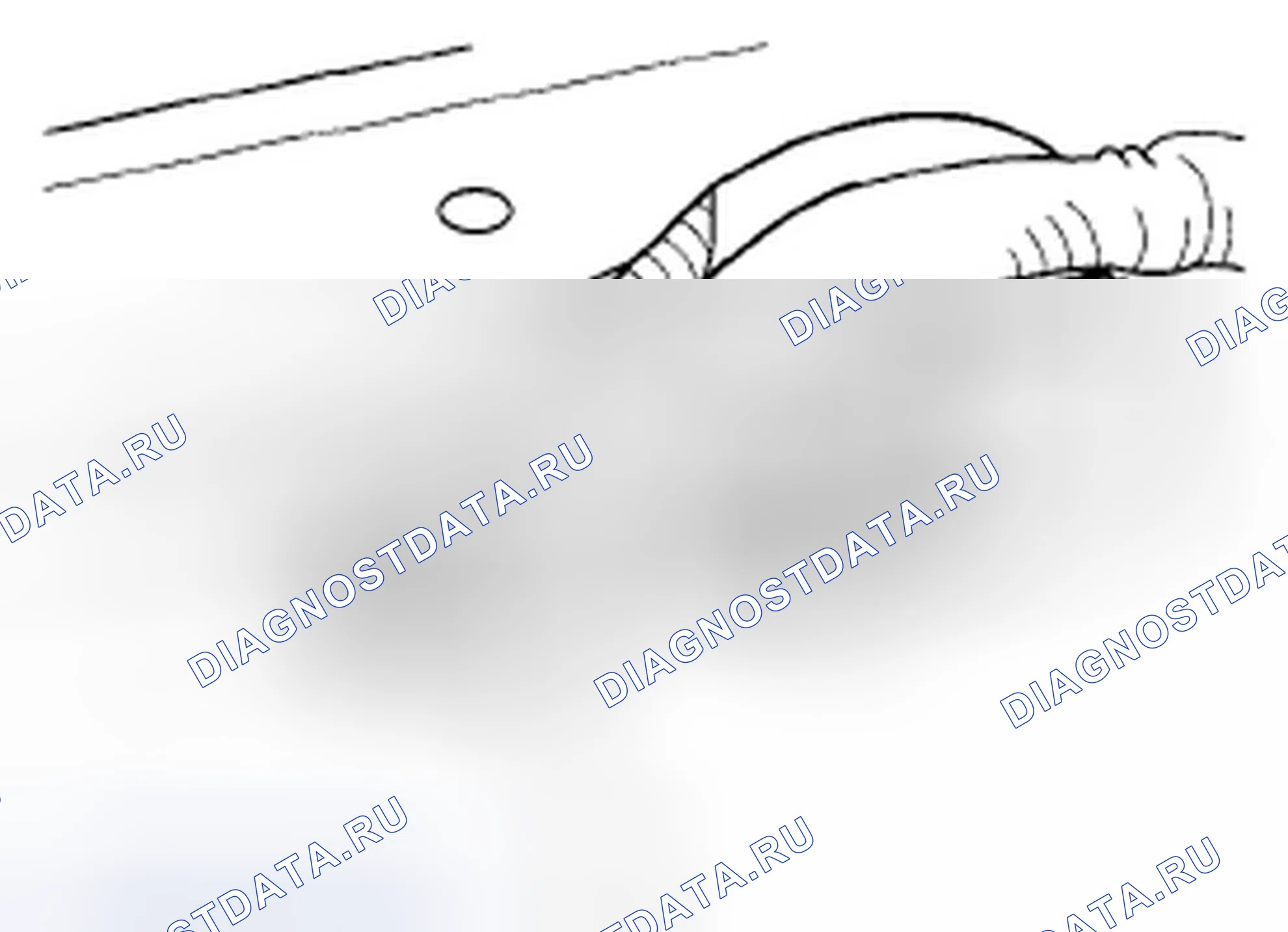 Рис. 119. Honda Element YH2 рестайлинг