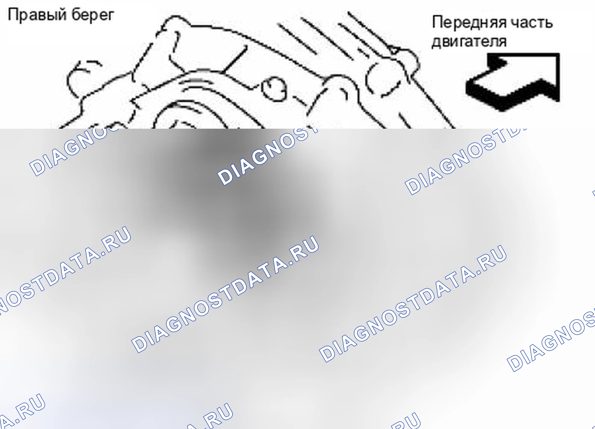 Рис. 219. Suzuki Equator I