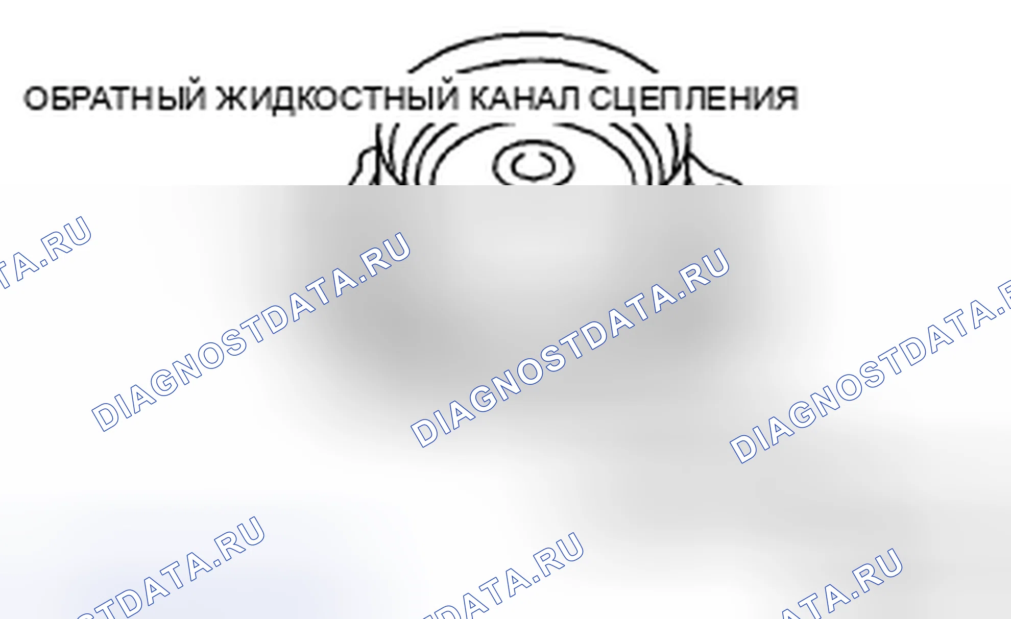 Рис. 6: Работа сцепления. Honda Civic IX рестайлинг