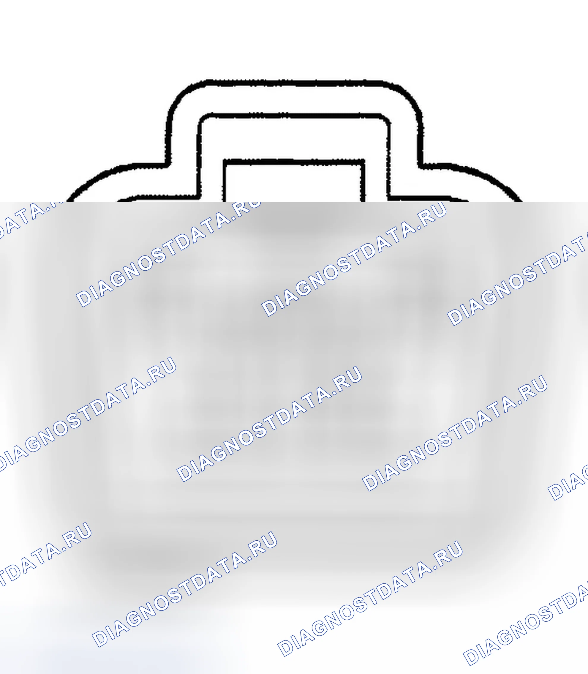 Рис. 1. Chevrolet Tracker II