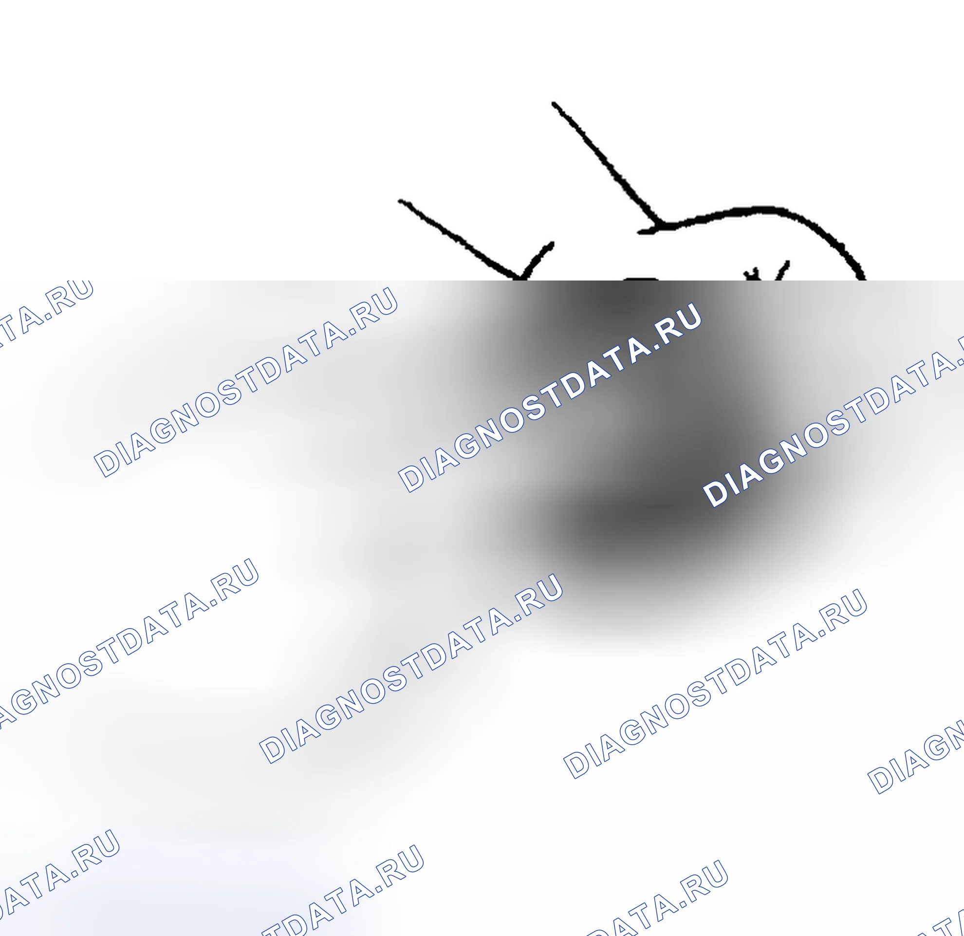 Рис. 11. Mazda MX-5 NC рестайлинг