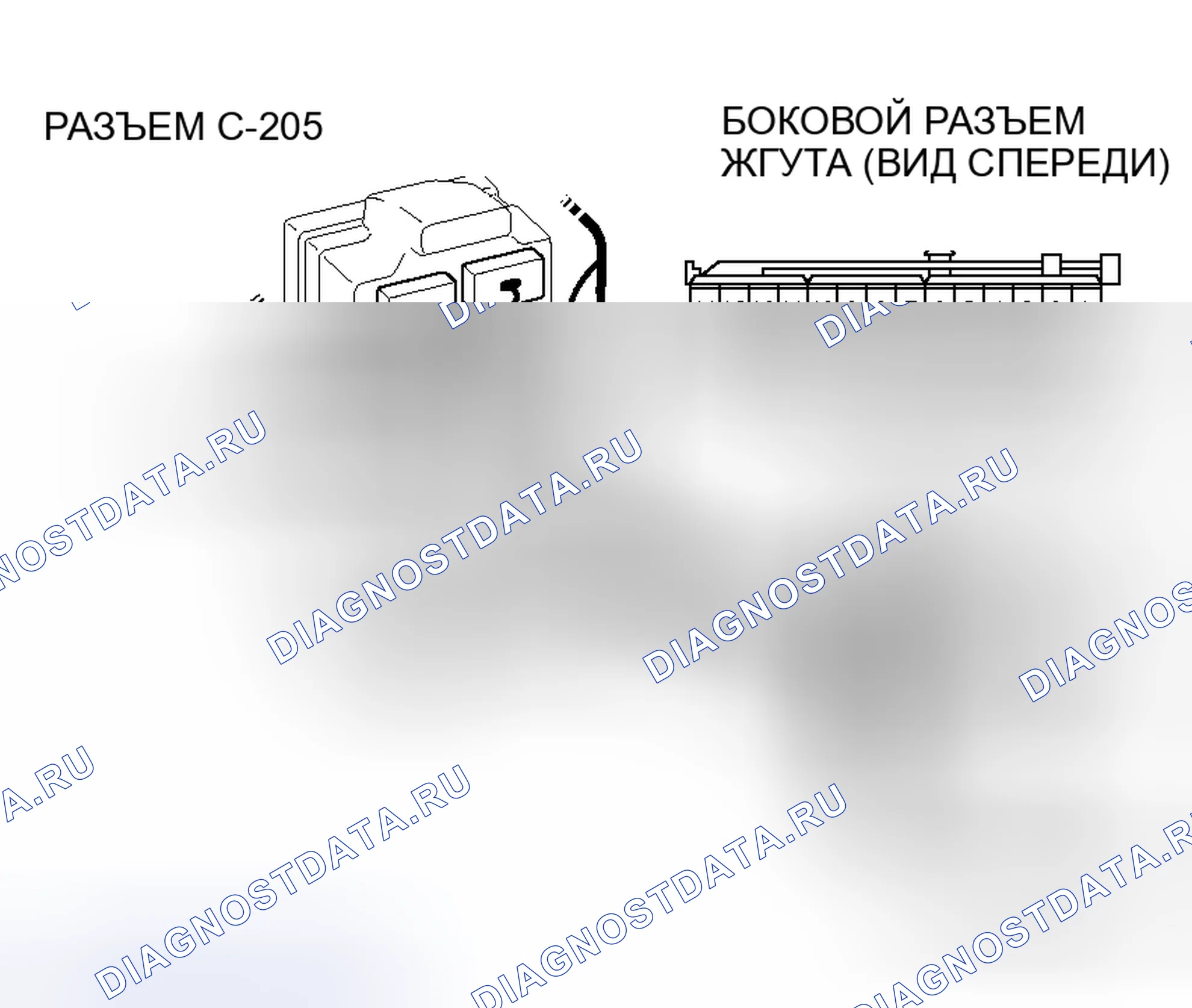 Рис. 206. Honda Envix I