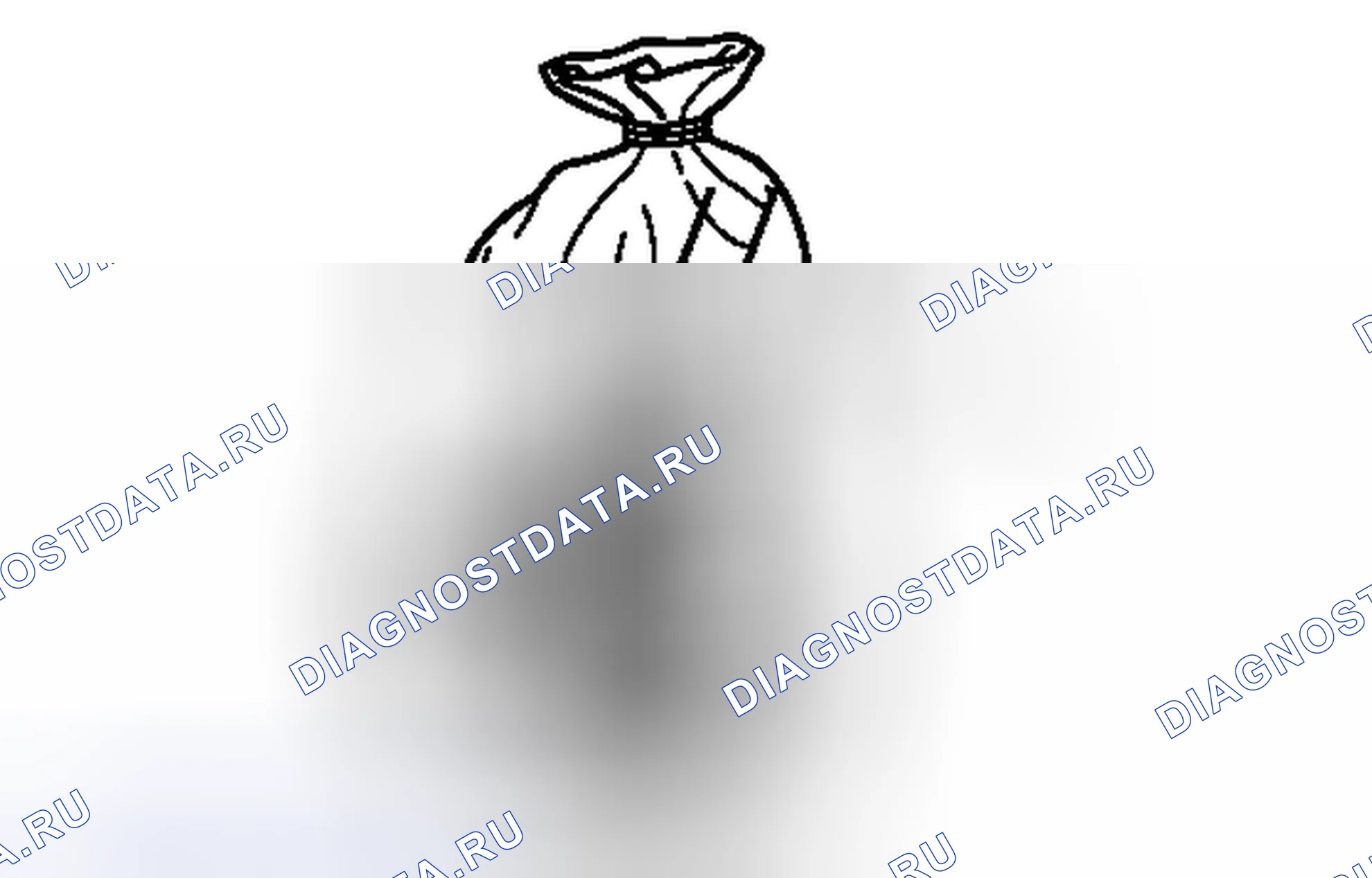 Рис. 57. Toyota FJ Cruiser I