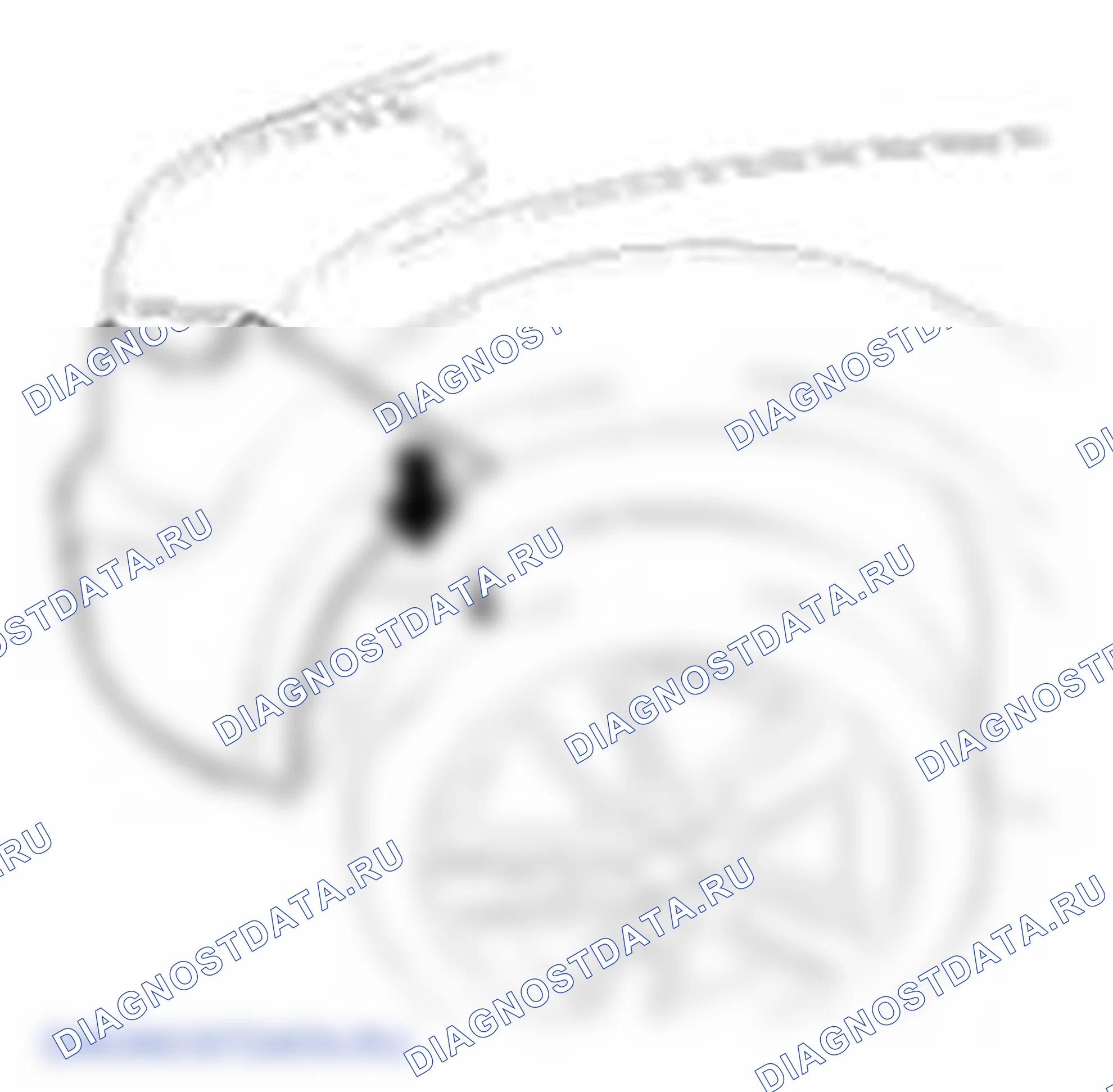 Рис. 4. Kia Soul I