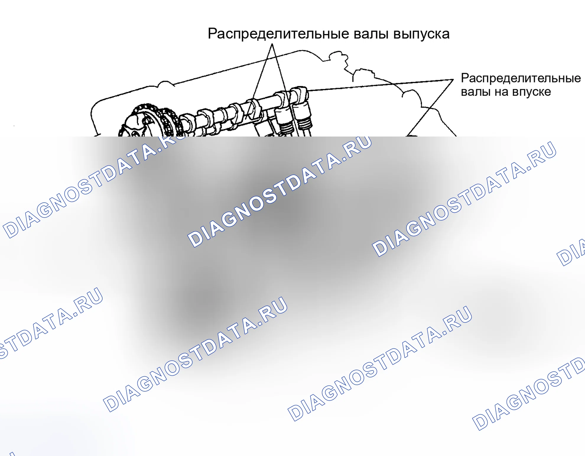 Рис. 60: 4RUNNER 4.0L V6. Toyota Camry XV30