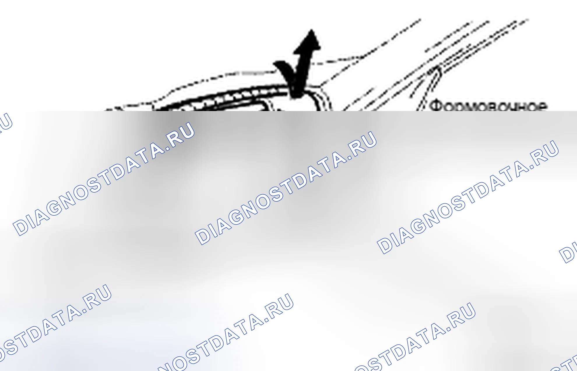 Рис. 29. Toyota Camry XV40