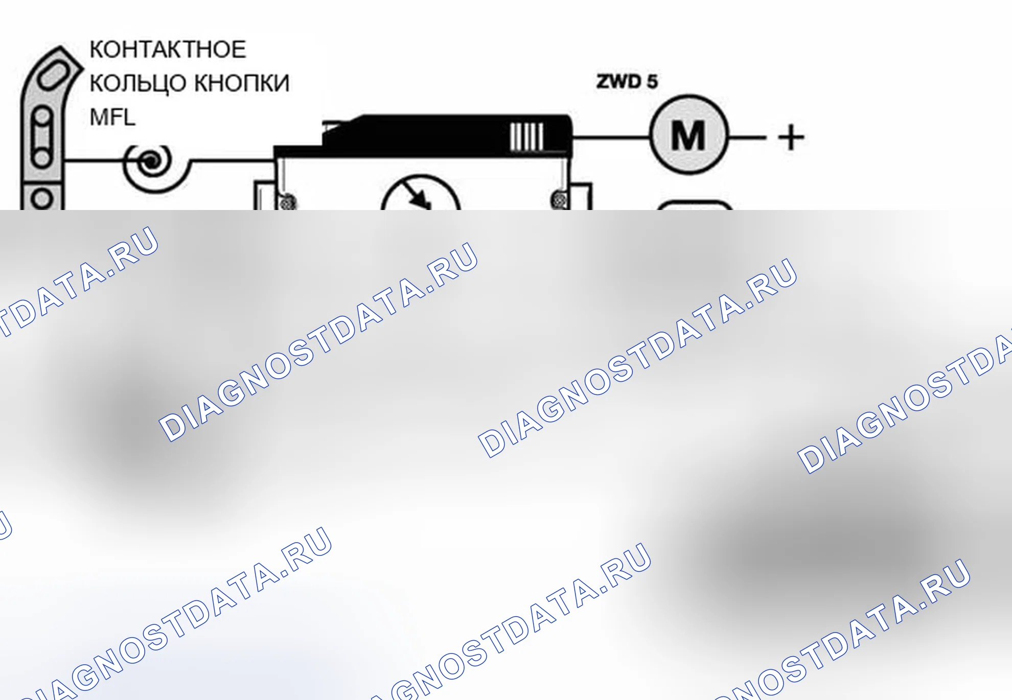 Рис. 558: Схема идентификации круиз-контроля. BMW X5 E53